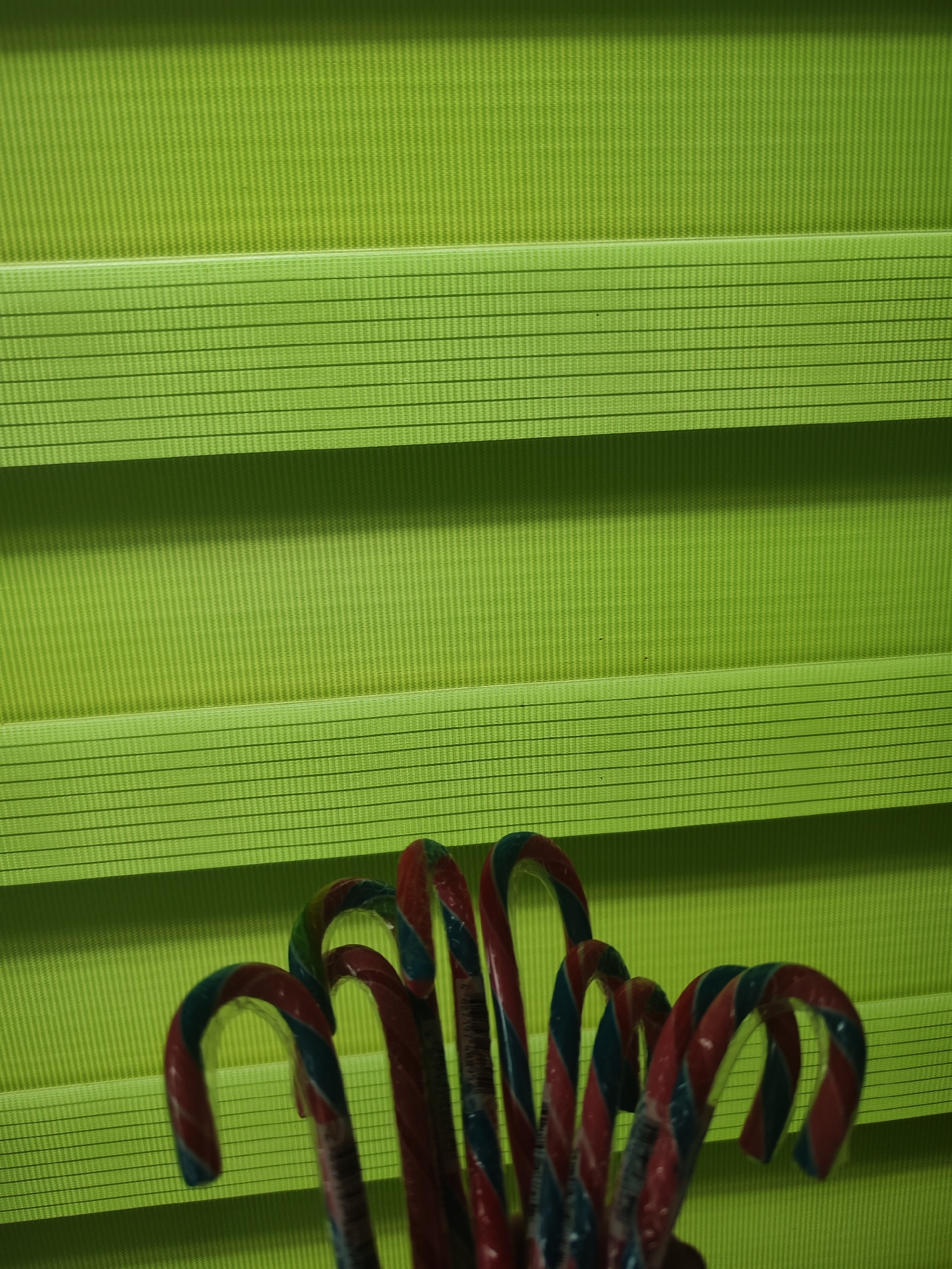The image shows several candy canes in front of a green horizontal slatted blind. The candy canes are red, white, and blue. The image was probably taken indoors. It is not possible to determine the location in Chaikovsky, Russia, or other details from the image.