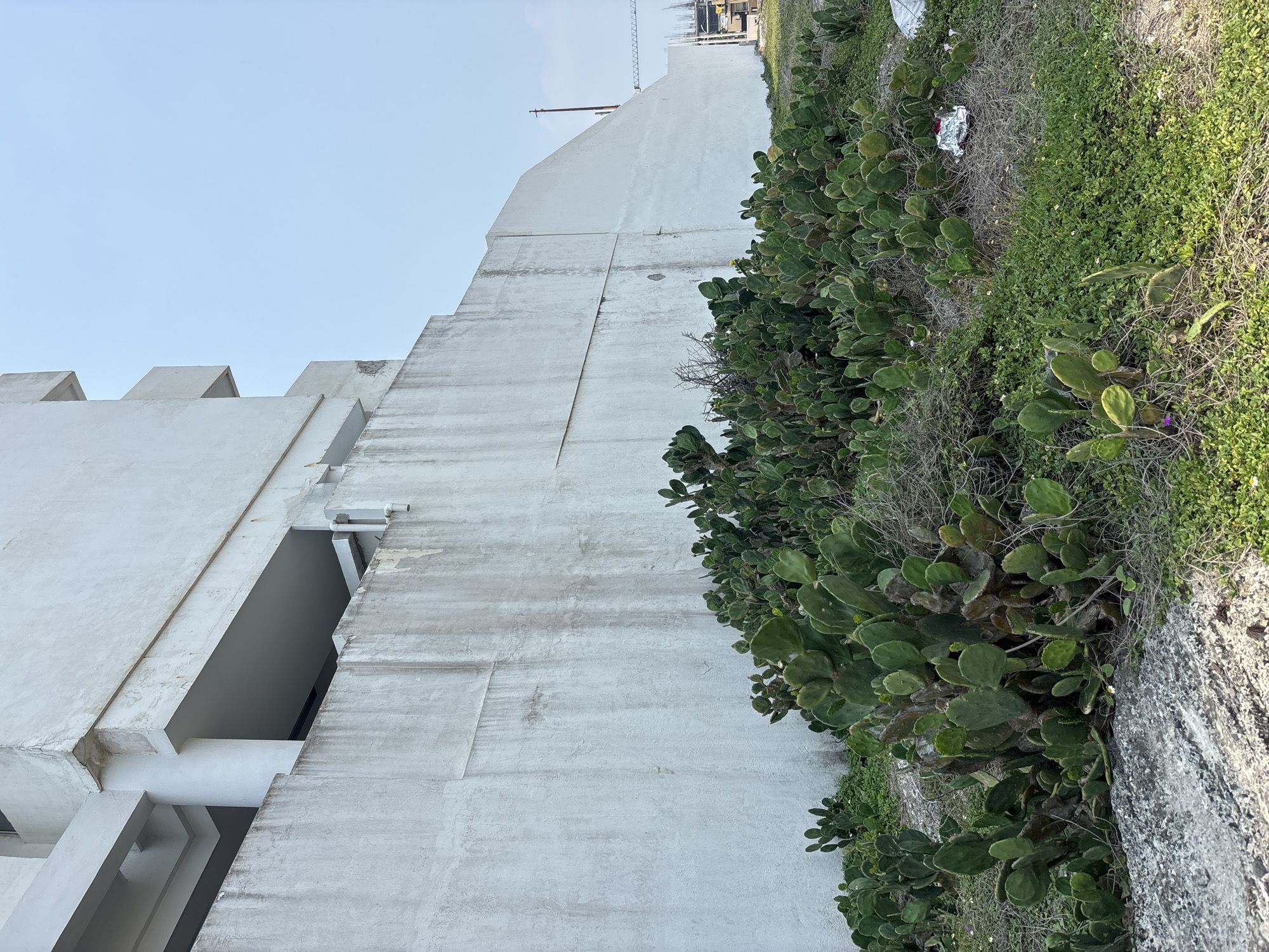 The image shows a tall, white, concrete building with an architectural style that includes protruding square elements on its left side. The building's facade shows signs of aging and weathering. A dense patch of green vegetation, predominantly consisting of cacti and various plants, grows along the building's base, and other greenery in the ground. The sky is visible in the upper left corner, suggesting an outdoor setting. The image may have been taken at ground level. Given that the location is Boca del Río, Mexico, the architectural style is consistent with buildings found in urban environments. The concrete block near the bottom right of the image appears to be an elevated curb/sidewalk.