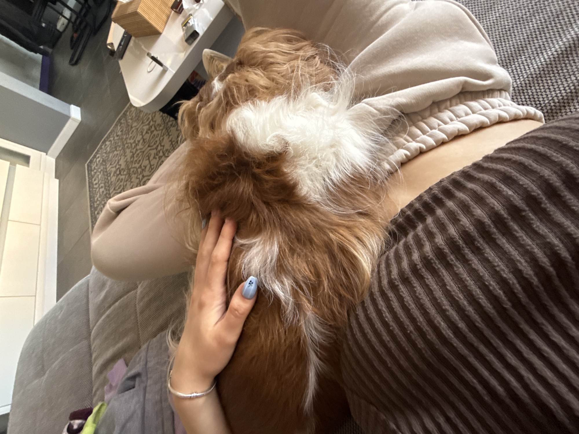A person lies on a grey couch, wearing a tan sweatshirt and a brown striped shirt. They are petting a brown and white dog with their left hand, adorned with a silver bracelet and painted blue fingernails. A white table with items sits nearby. The location is inside a building. There is no information available to state that the image was taken in Sofia, Bulgaria.