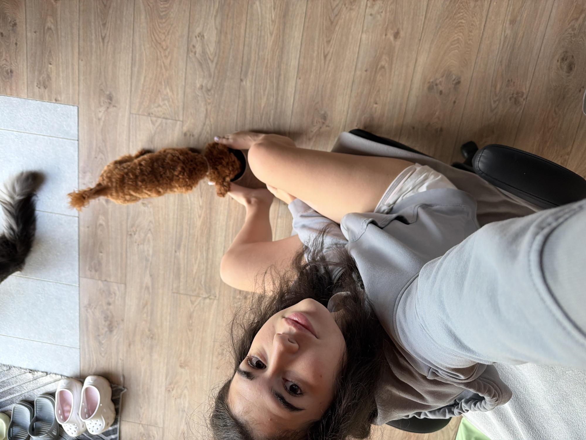 A person is taking a selfie from an overhead perspective. They are sitting in a black office chair with a gray hoodie on, and their legs are extended. A small, fluffy brown dog is on the floor in front of them, sniffing something. In the background, there is a stack of flip-flops on a striped mat, and the floor is made of light-colored wood planks. A dark tail can be seen in the upper right corner of the image. The scene appears to be indoors, likely in a residential setting within Sofia, Bulgaria.