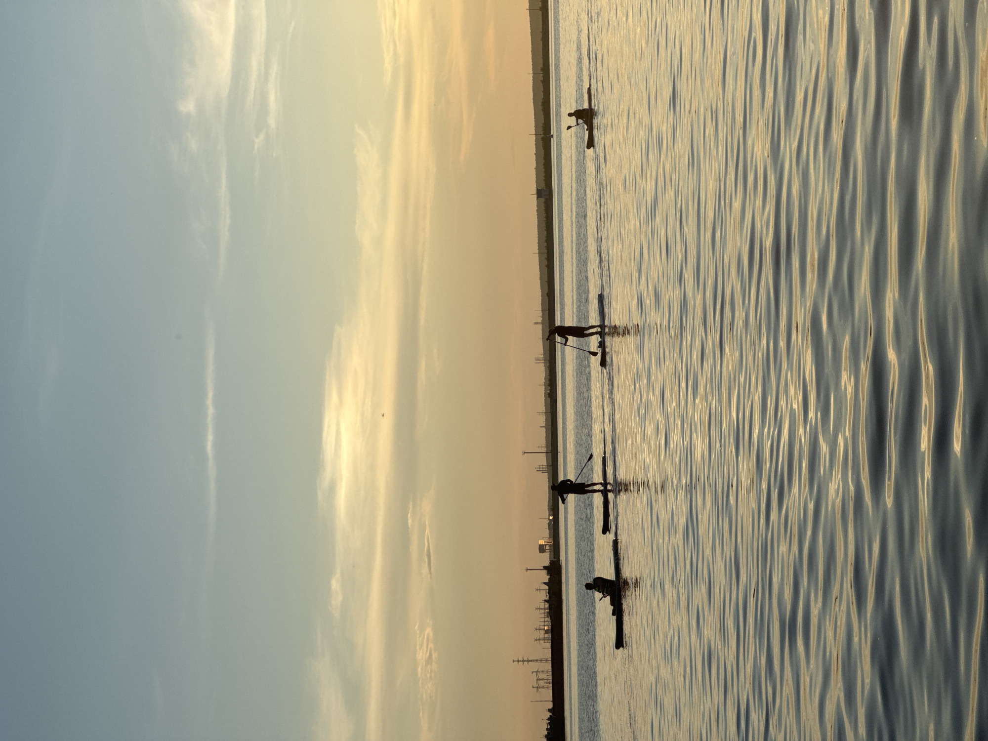 The image depicts a serene sunset over a body of water, likely a reservoir or river in Chaikovsky, Russia, given the industrial infrastructure visible on the horizon. The sky displays a gradient of soft blues and yellows, with wispy clouds catching the fading sunlight. In the foreground, the water is calm, with gentle ripples reflecting the warm tones of the sky.
Several individuals are engaged in water activities. On the left, two people are on paddleboards. One is seated, and the other is standing and appears to be paddling. Further to the right, another person is standing on a paddleboard, also actively paddling. On the far right, a lone individual is in a kayak, paddling forward. All figures are silhouetted against the bright sky.
The background features a distant shoreline with a distinct industrial landscape. Numerous power lines and tall towers are prominent, suggesting the presence of a power plant or industrial complex. A large ship or barge is also visible docked or moored along the shore. The overall atmosphere is one of peaceful recreation against a backdrop of industrial activity.