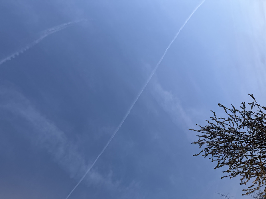 The image presents a bright blue sky above Paris, France. A prominent, linear contrail extends diagonally from the upper left portion of the frame towards the bottom right. A second, broader, and more diffused contrail is visible in the upper right quadrant. The skeletal branches of a deciduous tree, exhibiting early bud formation or nascent leaves, occupy the bottom left section of the composition. No people, man-made structures, or active events are present within the visible scene.