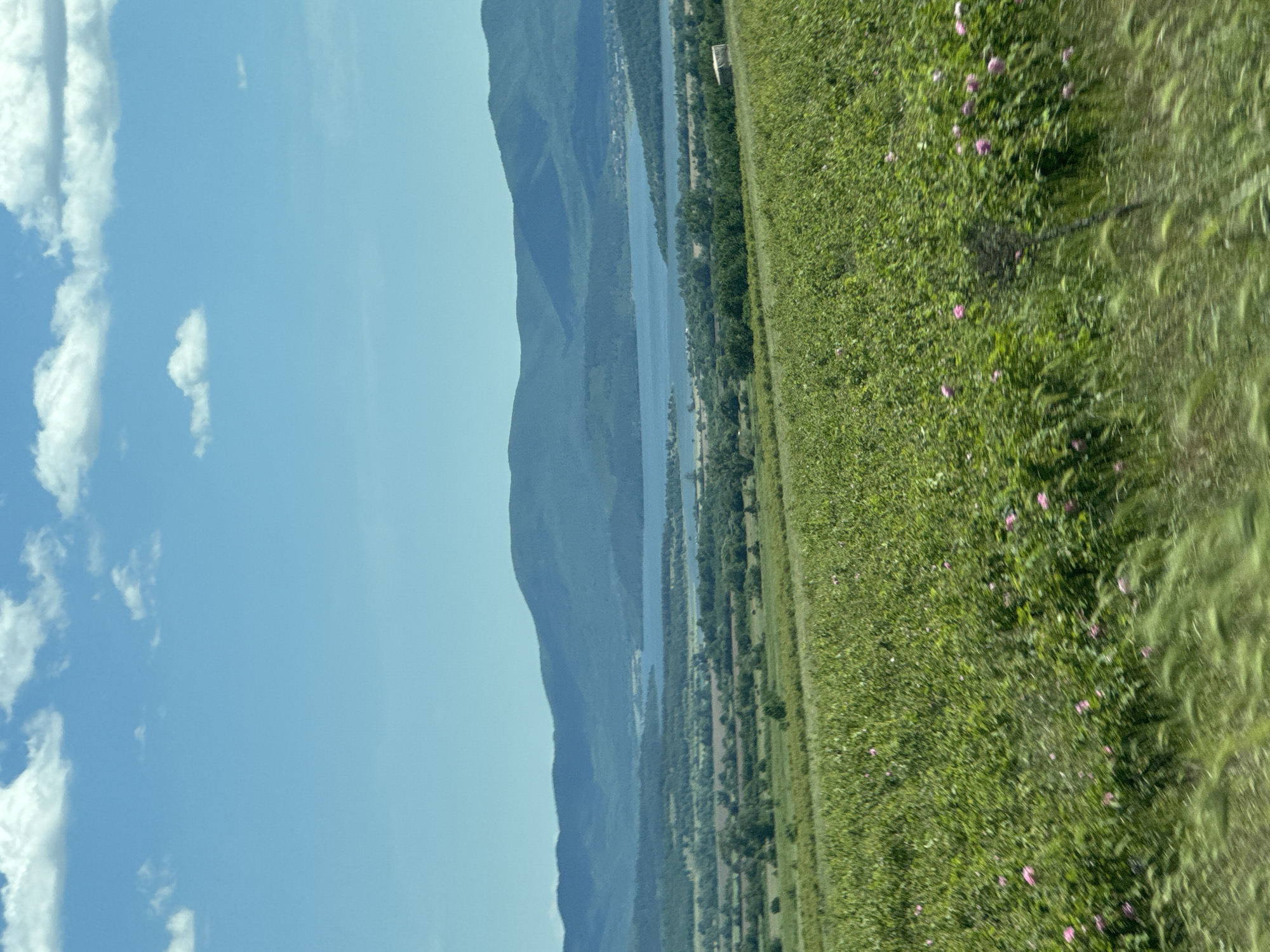 The image depicts a landscape in Konare, Bulgaria, featuring a blue sky with scattered white clouds, a mountain range, a body of water, and a field of green vegetation with some pink flowers. The perspective is somewhat tilted.