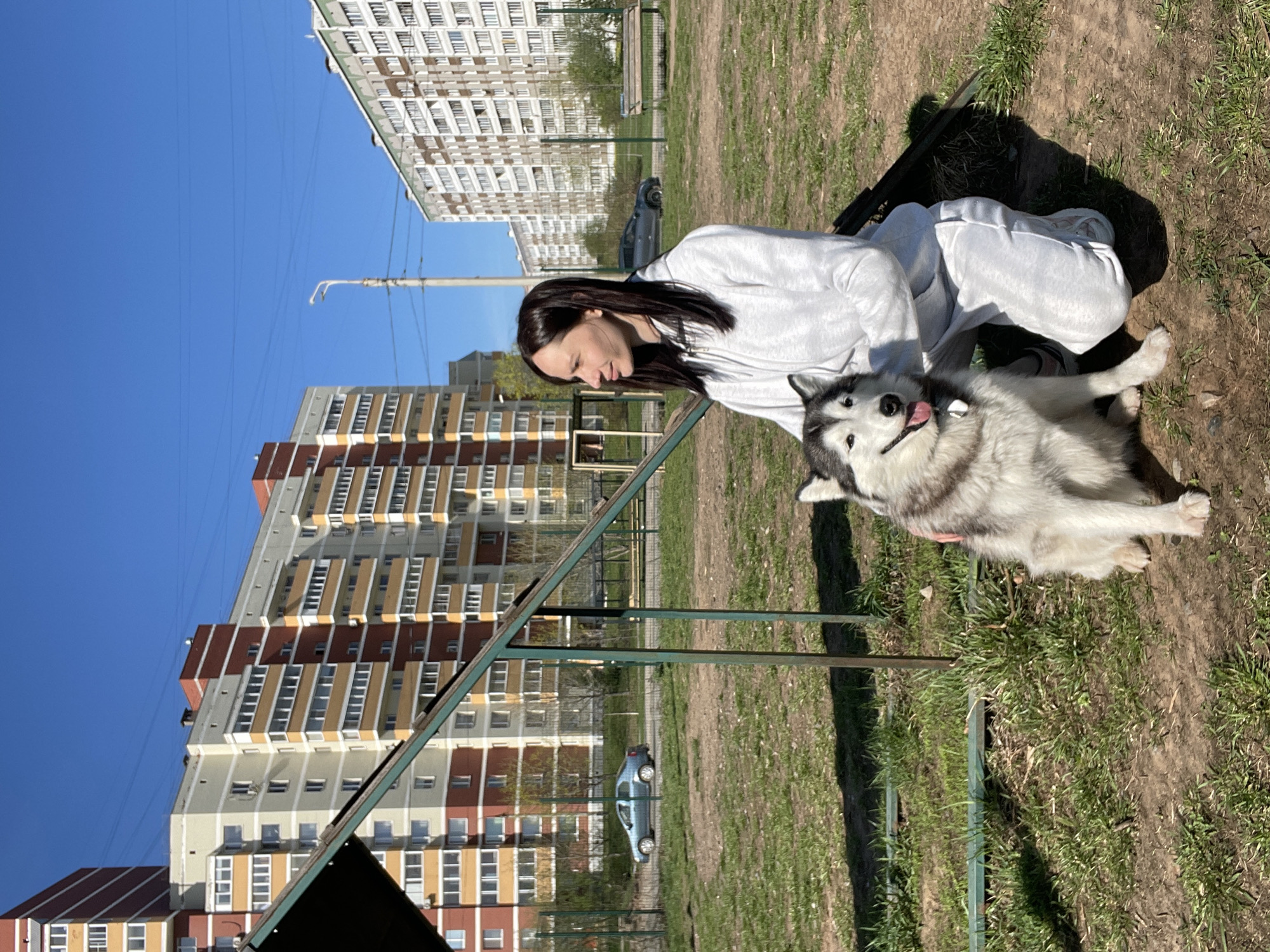 The image depicts a woman interacting with a husky dog in a grassy area, possibly a park, within the city of Светлое, Russia. The woman is kneeling and petting the husky, which is lying on its side with its tongue out. The woman is wearing a light-colored sweatsuit. In the background, there are multi-story apartment buildings and a blue sky. There is also some playground or park equipment, including a metal structure. A car is parked in the background. The weather appears to be sunny and bright.