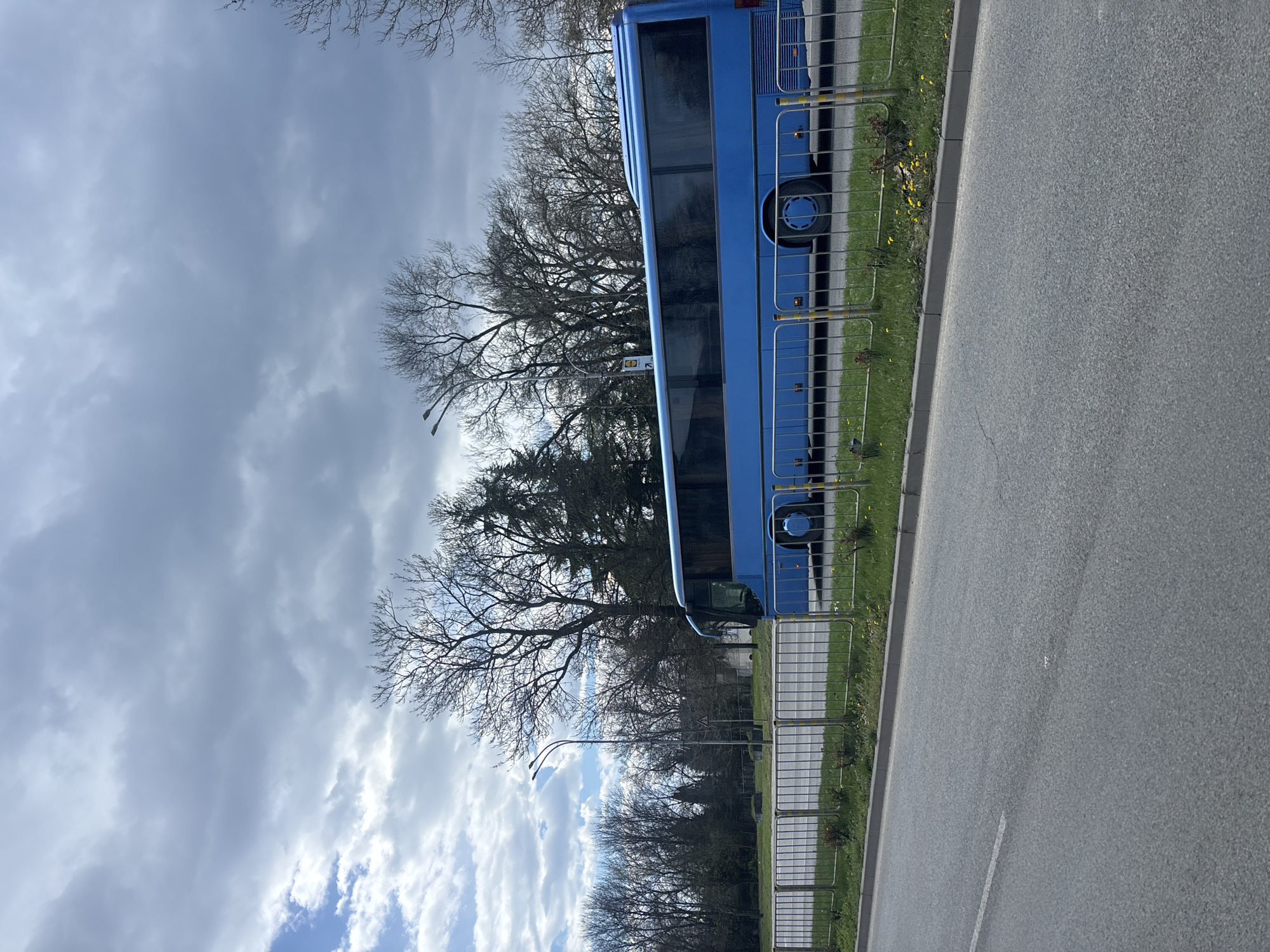 The image presents a scene in Burgas, Bulgaria, depicting a blue bus parked alongside a road. A metal fence separates the bus from a grassy area interspersed with yellow flowers. Trees, some bare-branched, are visible behind the bus and fence. Two streetlights stand amidst the trees. The sky is overcast with cloudy conditions. The road surface is asphalt, displaying a white line marking. No people are visible in the image.