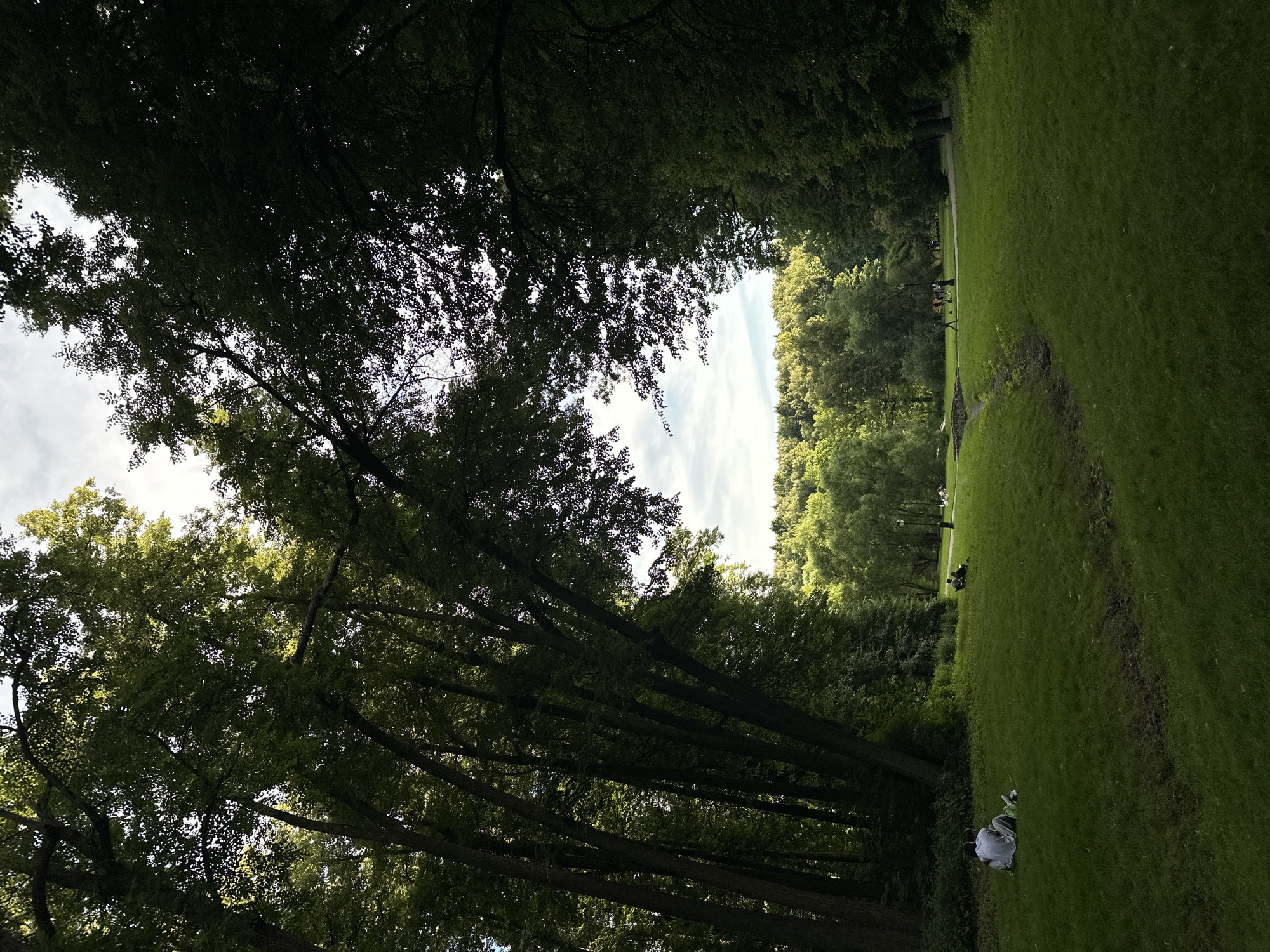 The image depicts a tranquil park scene, likely in Moscow, Russia, with lush green grass, mature trees, and a clear sky. The foreground is dominated by a grassy expanse, with a person in a white shirt sitting on the grass in the lower left corner, facing away from the camera. Further into the park, several other individuals are scattered across the lawn, some sitting and others walking.
The park is bordered by dense trees on both the left and right sides, creating a natural archway that frames a view of distant, rolling hills covered in trees. The light suggests it is daytime, with sunlight filtering through the leaves and illuminating parts of the scene. A subtle, dry ditch runs through the middle ground of the park, adding a natural texture to the landscape. In the background, a path is visible, with a lamppost and a few more people enjoying the park. The overall atmosphere is peaceful and idyllic, characteristic of a well-maintained urban green space.