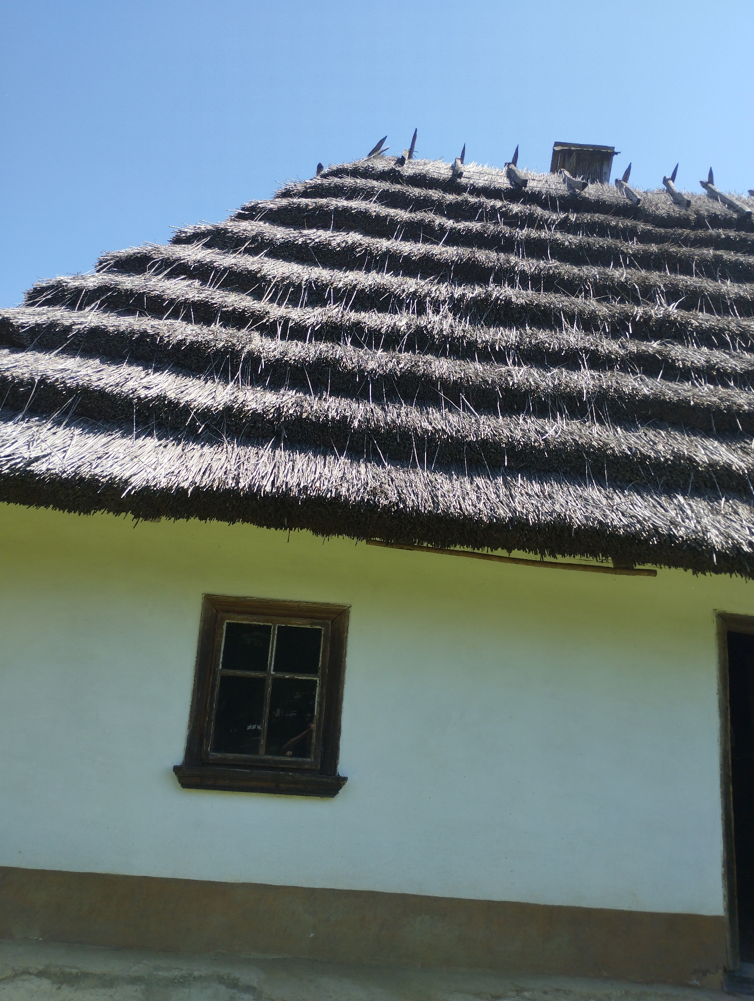 A low-angle, full shot captures the side of a white-walled house with a thatched roof under a clear blue sky. The thatched roof is densely packed and layered, with individual straw pieces visible. Some wooden stakes protrude from the roof's peak, and a small, dark wooden-framed window with four panes is set into the white wall. The bottom of the wall features a horizontal band of brown, and the ground below appears to be a rough, light-colored surface. An open doorway is visible on the far right of the frame.