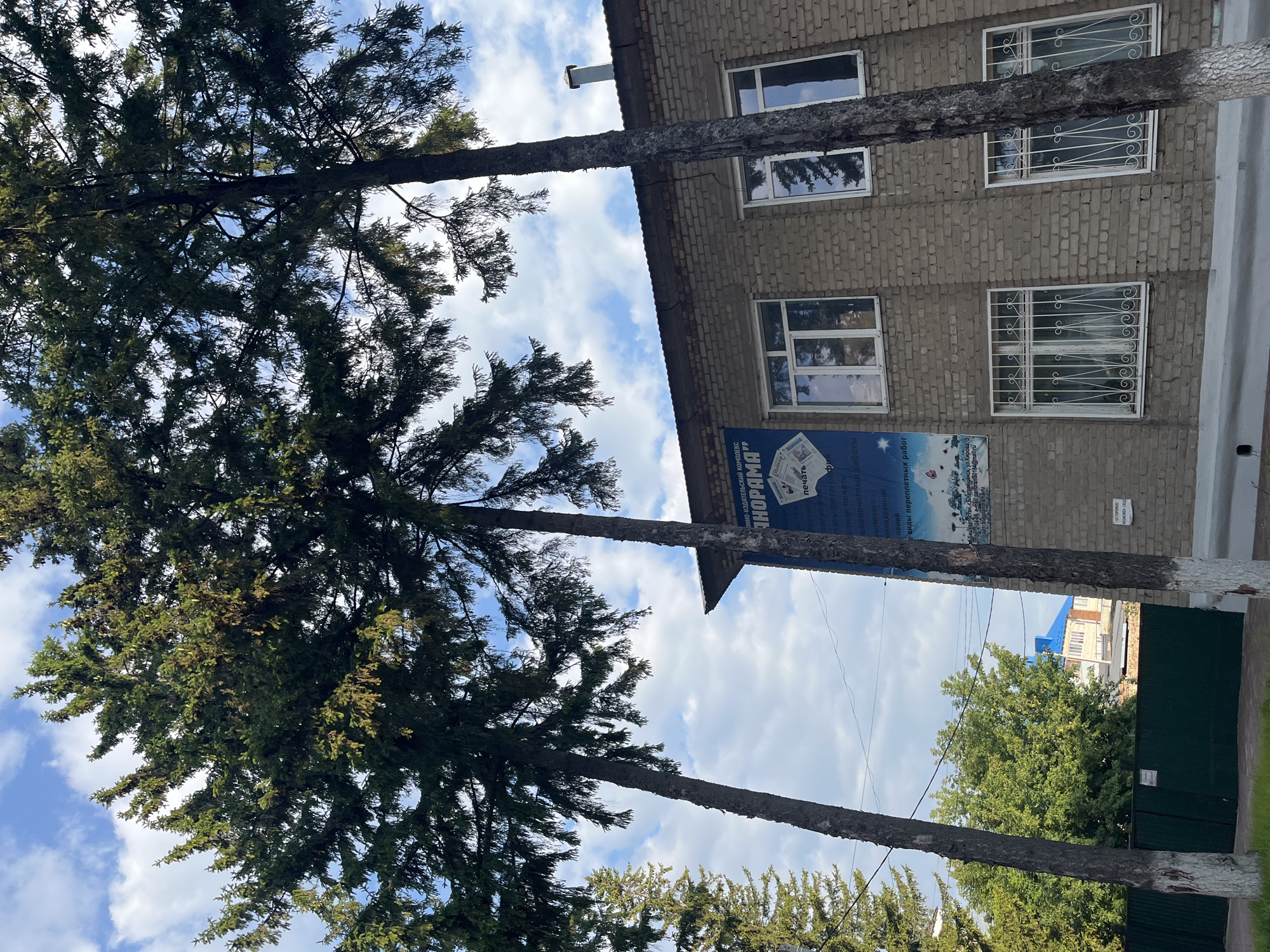 The image captures a side view of a two-story brick building, likely an administrative or commercial facility, situated in Blagoveshchensk, Russia. The building's facade is constructed from light brown bricks and features several windows, some with decorative white grilles. A large blue banner with text and graphics is affixed to the left side of the building. Prominently displayed in the foreground are three tall evergreen trees, their branches reaching towards a partly cloudy sky. A dark green metal fence runs along the front of the property, and a small sign is attached to it. In the background, a residential building with a blue roof is visible, suggesting a mixed-use urban or suburban environment. The scene is captured during daylight, under a sky dotted with white clouds against a blue backdrop.