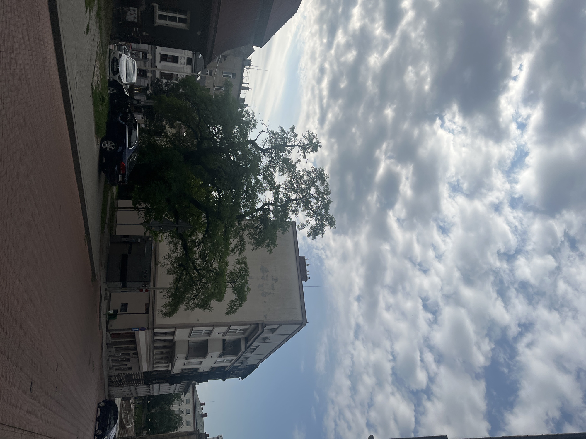 The image shows an overcast sky above a city street. A large, mature tree with dense foliage dominates the center of the frame, partially obscuring several buildings. To the left, a dark-colored building with a reddish-brown roof is visible. Adjacent to it, a multi-story building with white window frames and a light-colored facade stands. To the right of the tree, another multi-story residential building with balconies and a light beige exterior is prominent. In the foreground, a brick-paved street curves to the right. Parked cars are visible on the street and sidewalk area in front of the buildings, including a dark-colored sedan with its driver's side door open and a white sedan. The environment suggests an urban setting with a mix of residential and possibly commercial structures, featuring mature trees and paved streets.