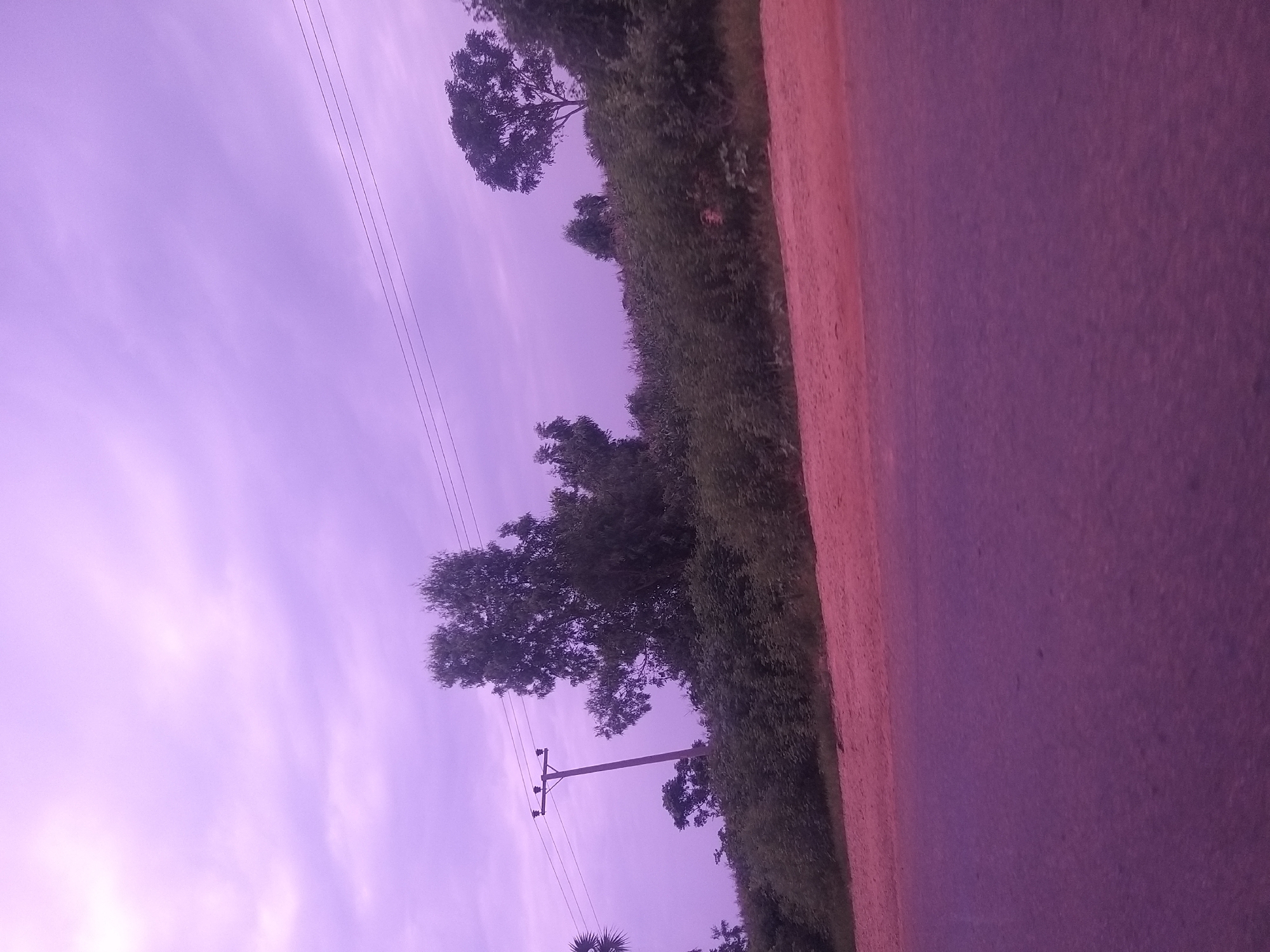 The image shows a rural roadside scene in Kafarati, Nigeria, under a hazy, purple-tinged sky. The foreground is dominated by a dusky purple asphalt road, possibly a paved street or highway. To the right of the road is a strip of sandy, pinkish-red earth, which transitions into a dense, green vegetation line. This vegetation consists of various bushes and trees, some reaching significant heights.
In the middle ground, a wooden utility pole stands prominently, supporting at least two parallel power lines that stretch across the frame and disappear into the distance. Behind the utility pole and the dense undergrowth, taller trees with dark green foliage are visible. One particularly large tree with a rounded canopy is situated on the right side of the image, further back from the road. The background is filled with the diffused light of the sky, with subtle cloud formations adding texture to the purple hue. The overall atmosphere is serene and slightly muted, suggesting either early morning or late evening light. There are no people or vehicles visible in the image.