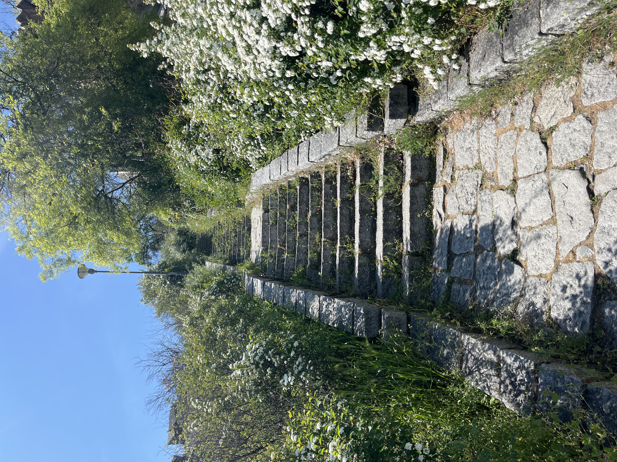 The image shows a stone staircase leading uphill. The staircase is flanked by vegetation, including bushes with white flowers. The steps are made of gray stone and appear weathered. To the left of the staircase, there is a lamp post visible against a blue sky. The image is taken in Plovdiv, Bulgaria.