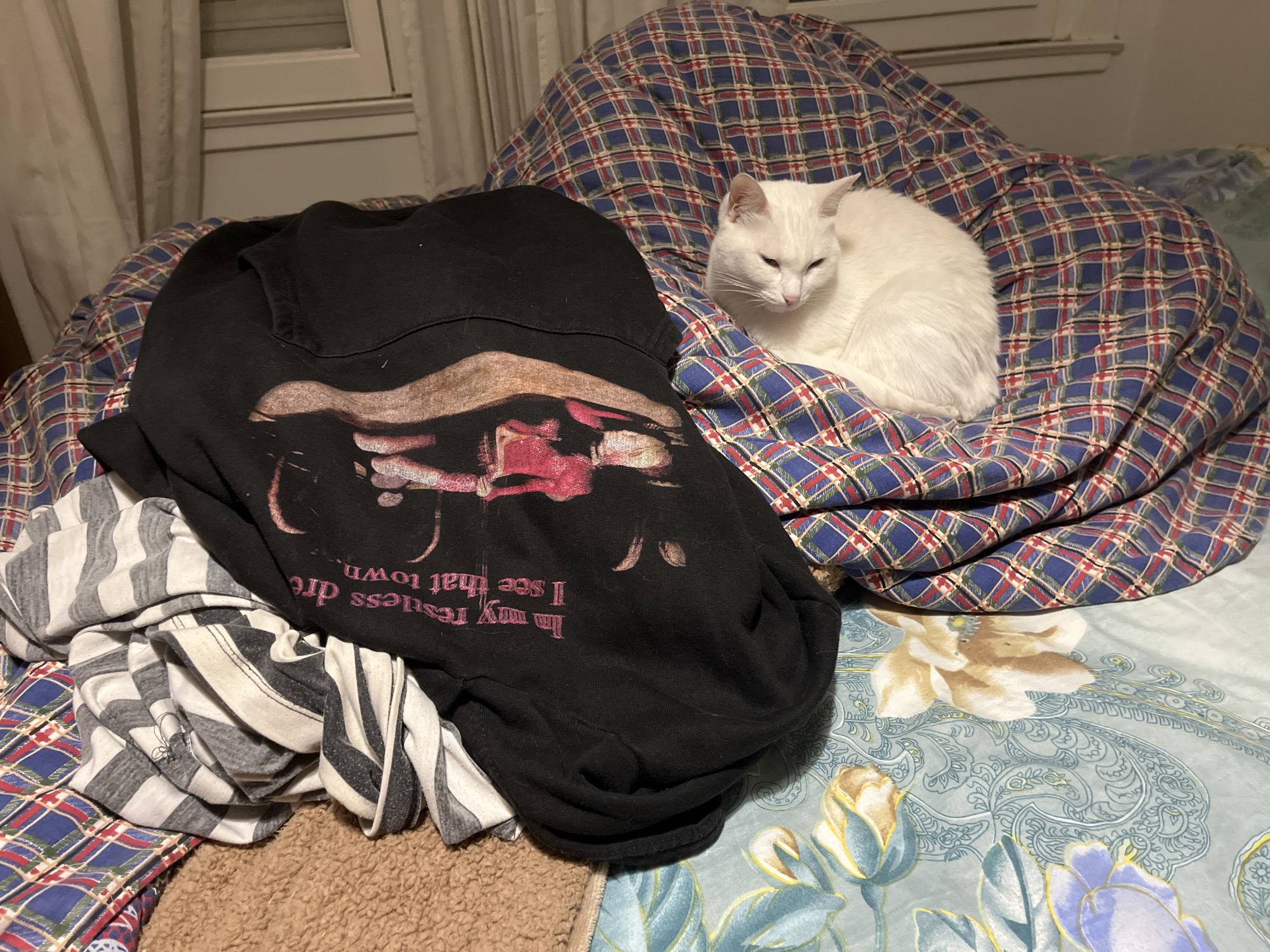 A white cat rests on a blue, red, and green plaid comforter. To the left of the cat is a pile of clothes, including a black T-shirt with a faded pink and brown graphic and white and gray striped fabric. The bed is covered with a light blue floral patterned sheet. The image was most likely taken indoors. The city and country are not visible in the image.