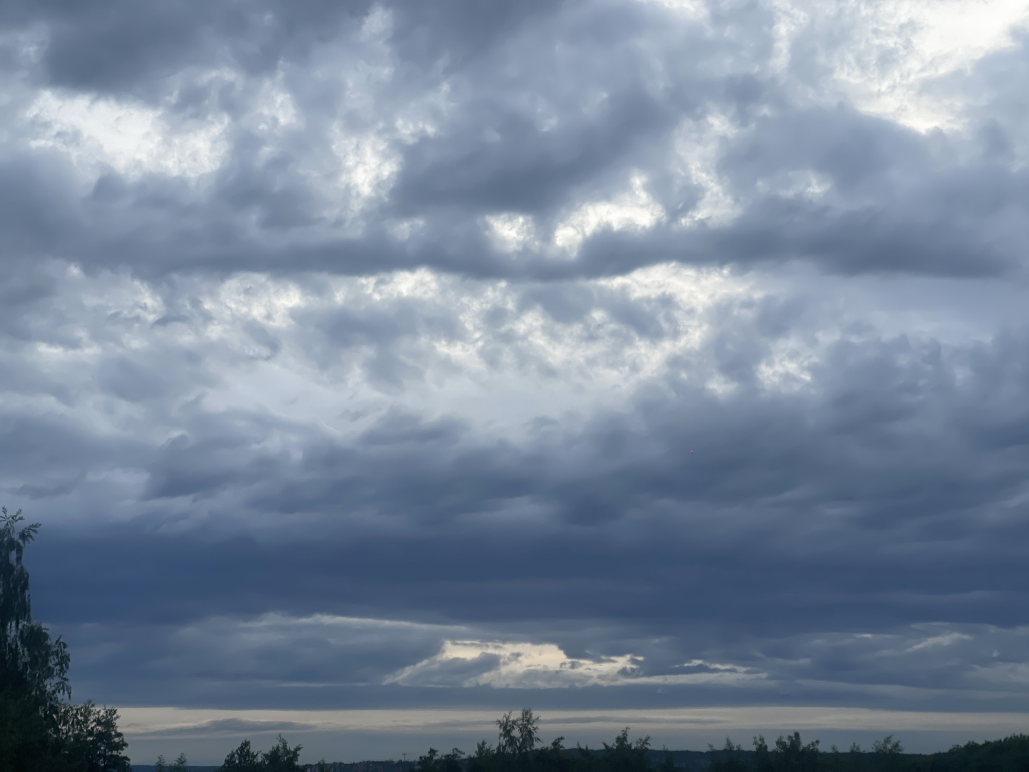 The image displays a wide view of a sky filled with dense, predominantly grey clouds. The cloud cover is extensive, suggesting overcast weather or an approaching storm. Varying shades of grey are present, from dark, heavy masses to lighter, brighter patches where diffused light penetrates or reflects, particularly towards the upper and middle portions of the sky.
At the very bottom, a narrow strip of dark silhouettes represents distant trees or land against a slightly lighter horizon line. On the far left, the upper branches and foliage of a tree, with lighter green leaves, extend into the lower left corner of the frame. In the upper right quadrant of the lower sky section, a tiny, faint pinkish-purple dot is visible, possibly a lens flare or a distant light.
The overall scene conveys a somber or contemplative mood due to the heavy cloud cover and subdued lighting. The time of day is not explicitly clear but leans towards either a heavily overcast daytime, early morning, or late evening given the diffused light and lack of direct sunlight. No specific location cues are identifiable, and there is no visible text.