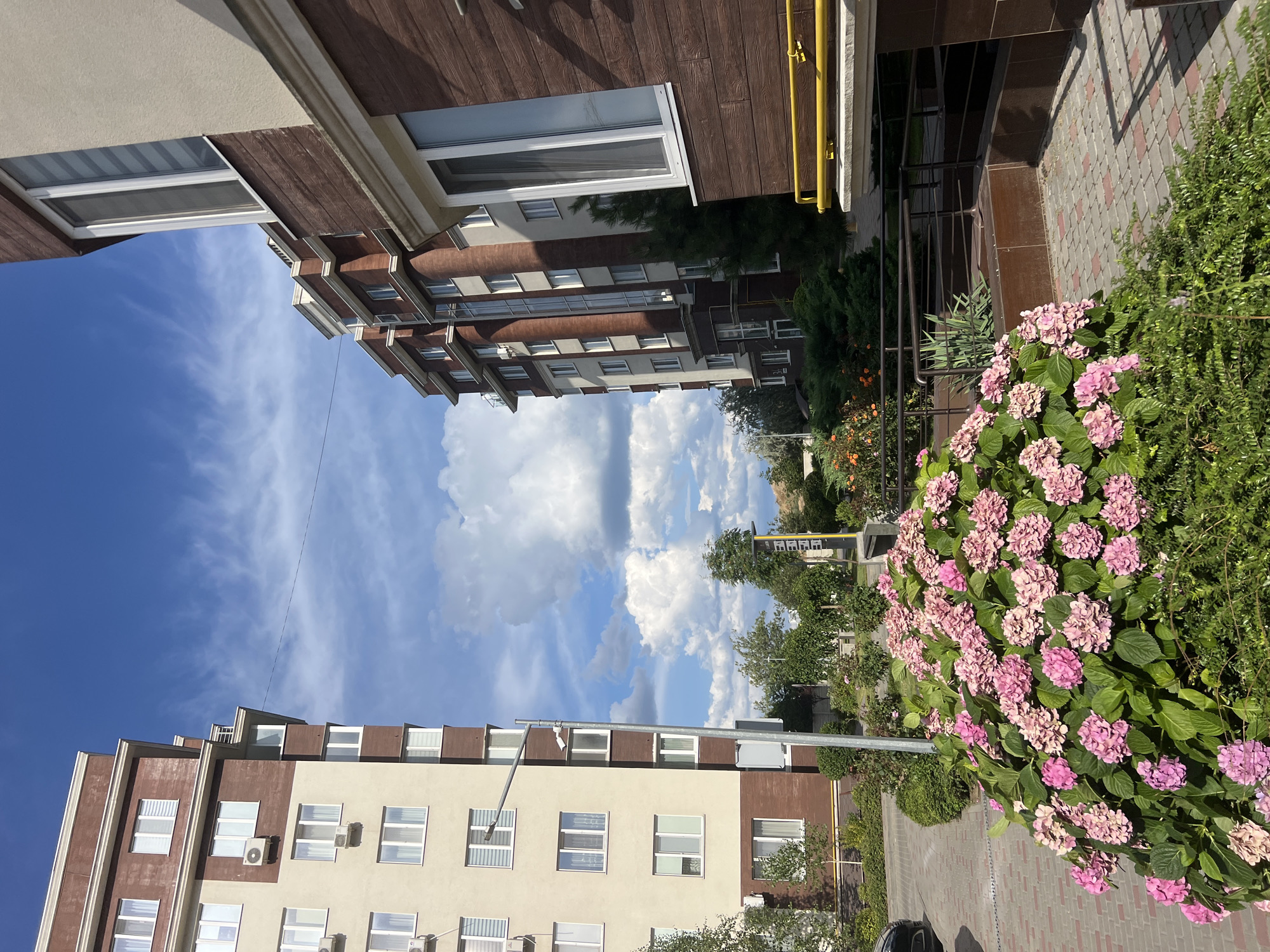 The image depicts a residential area in Kryzhanivka, Ukraine, on a sunny day with a blue sky filled with fluffy white clouds. Two multi-story apartment buildings dominate the scene. The building on the left has a cream-colored facade with brown accents and multiple windows. An air conditioning unit is visible on its exterior. The building on the right features a brown, wood-like exterior with contrasting cream-colored sections and large windows. A yellow pipe runs along the base of this building.
In the foreground, a large bush of pink hydrangeas is in full bloom, with lush green leaves. The ground in front of the buildings is paved with brick-like tiles. A street lamp with two visible cameras is positioned between the two buildings, near the cream-colored apartment complex. In the background, there are other trees and greenery, suggesting a well-maintained urban landscape. No people are visible in the image.