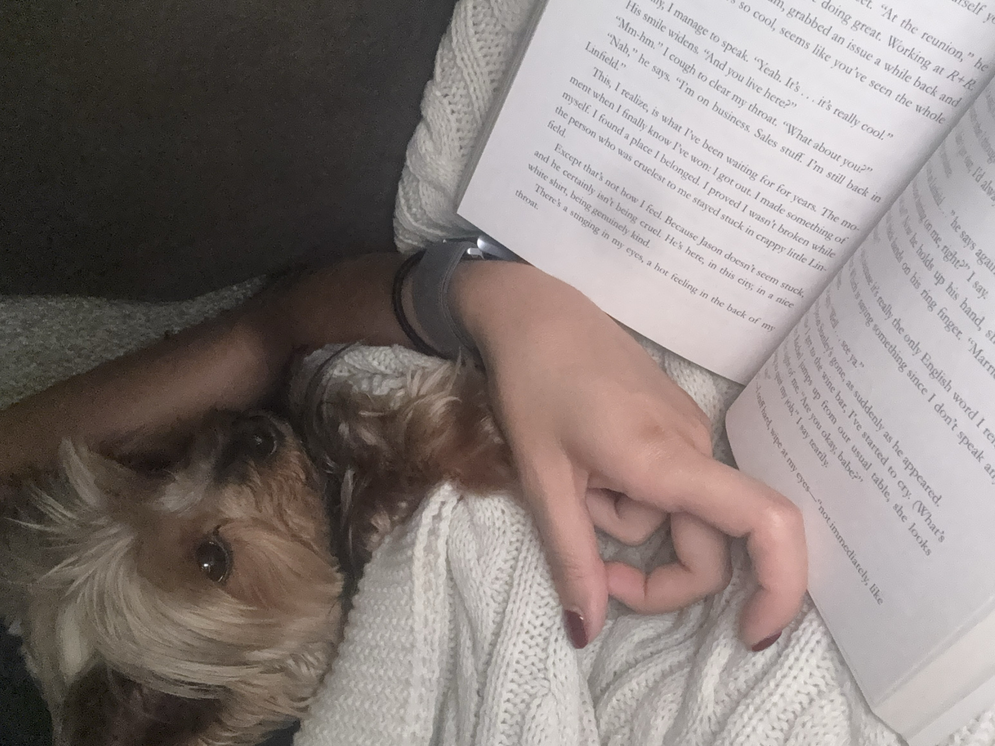 A person rests on a white knit blanket, holding a book open with one hand. A small, light brown dog rests near the person's chest. The person is wearing a dark band on their wrist. The page of the book is filled with paragraphs of text. The location is unspecified and not identifiable as San Bernardino Tlaxcalancingo, Mexico.
