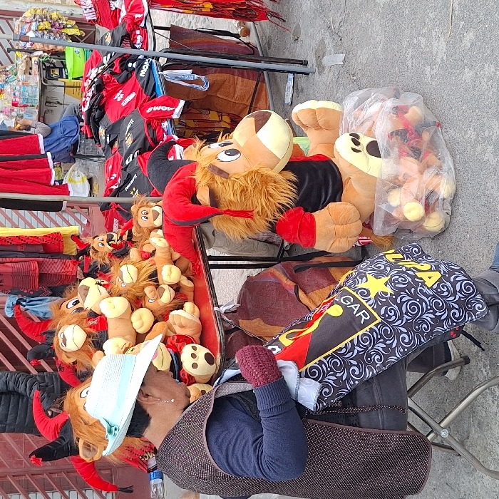 A vendor sits among their wares on a sidewalk. Red and black shirts hang on a metal rack, and a cart overflows with plush lion toys wearing red hats. Larger lion plushies with red armbands and black shirts sit next to the cart. The vendor wears a hat and sits on a folding chair, with a patterned cushion behind them. Other merchandise is stacked nearby.