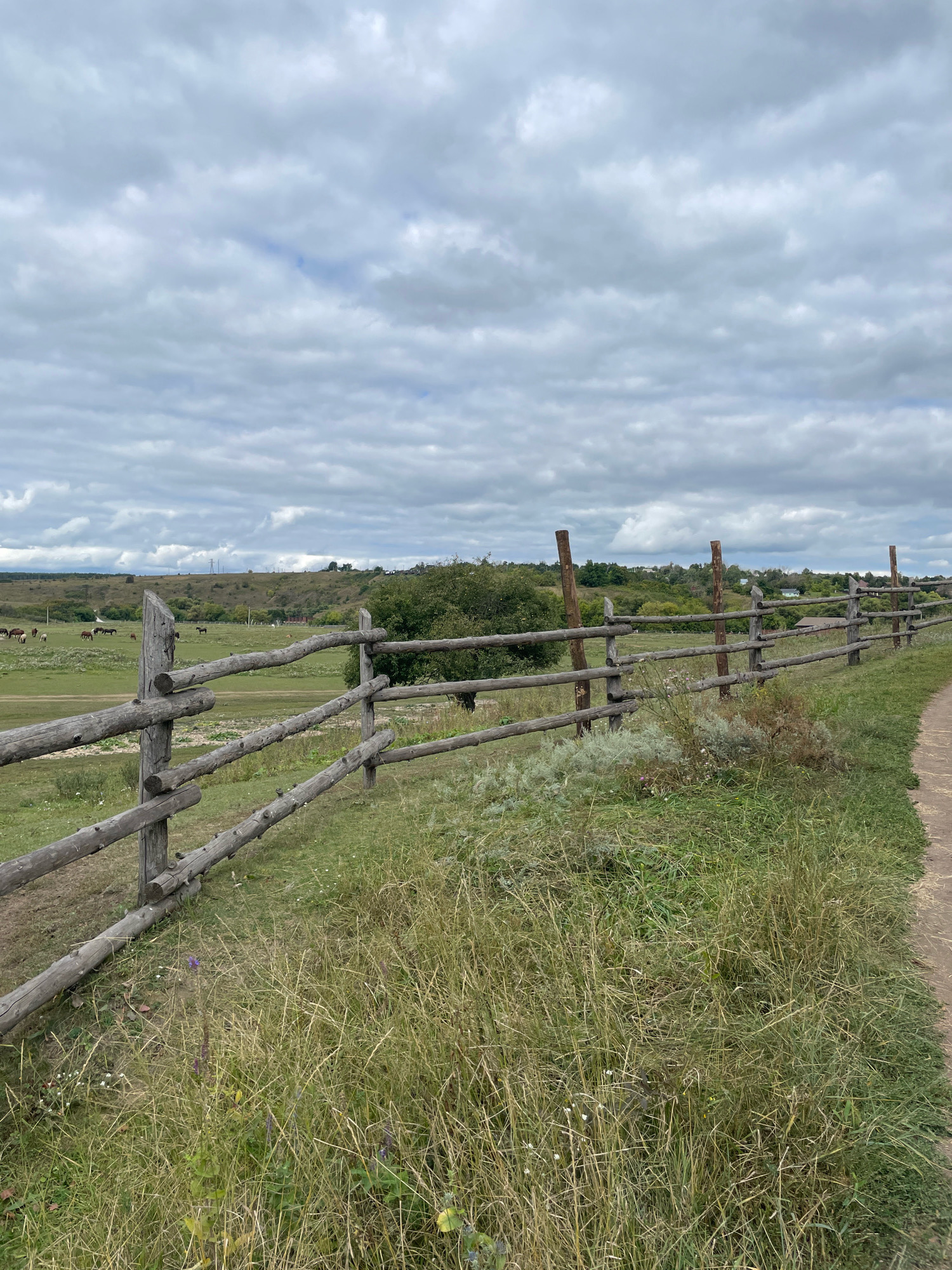 This is an outdoor, eye-level shot of a wooden fence in a rural landscape under a cloudy sky. The fence, constructed from rough, unprocessed logs, extends diagonally from the lower left to the upper right of the frame. Beyond the fence, a green field is visible, dotted with several horses. In the distance, rolling hills are covered with trees and some scattered buildings, suggesting a village or farm. The foreground is filled with tall, dry grass and some wildflowers, with a dirt path running along the right edge of the image. The overall impression is one of a serene, pastoral setting.