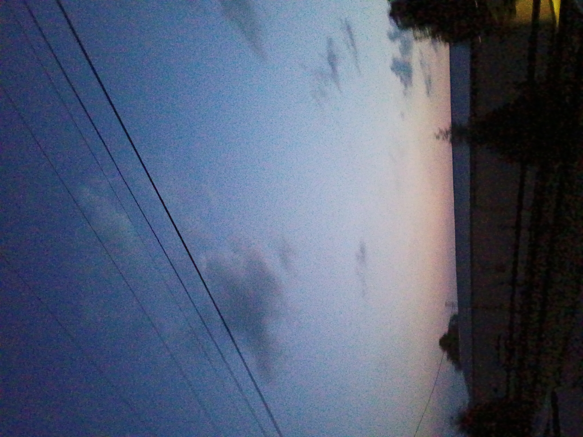 An outdoor, eye-level, medium shot captures a dimly lit, twilight sky over a flat, rectangular structure that spans the width of the frame. The sky transitions from a deep blue at the top to a lighter, almost pinkish hue near the horizon. Three thin, dark power lines stretch diagonally across the upper portion of the image, from the left to the right. A faint line of clouds is visible near the horizon. The structure below is dark and appears to be a long building or wall, with some indistinct shapes of trees or foliage visible in silhouette in the foreground and on the far right. The overall impression is one of a quiet, transitional time of day, with a sense of industrial or commercial infrastructure in the background.