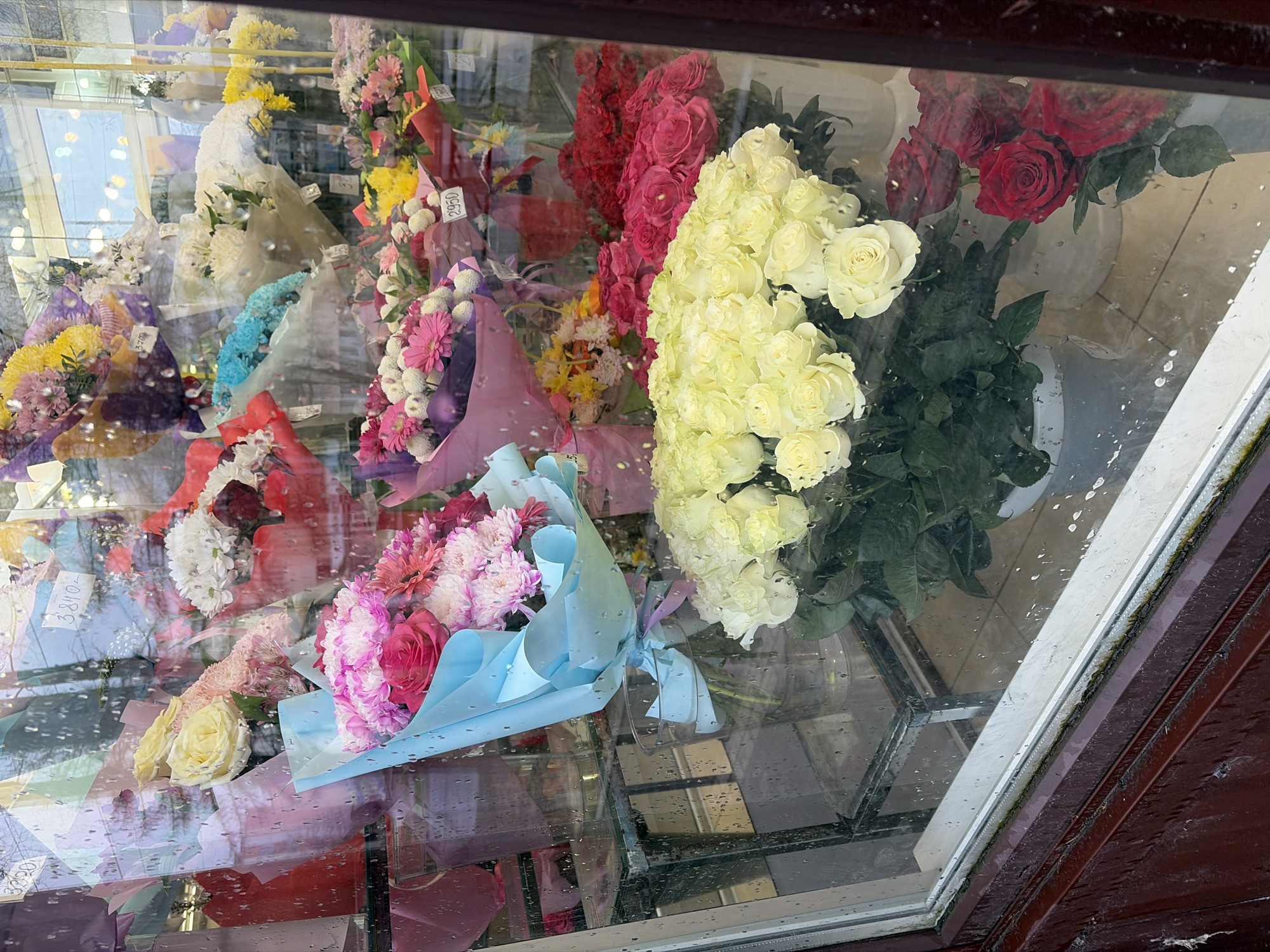 This media file captures a vibrant display of flowers inside a shop window, viewed from the outside, with water droplets on the glass suggesting recent rain or condensation. The scene is set in what appears to be a flower shop in Chaikovsky, Russia.
The primary subjects are numerous bouquets and arrangements of fresh flowers, showcasing a wide variety of colors and types. Dominant colors include bright yellow, various shades of pink, deep red, white, and purple.
In the foreground and center, a large arrangement of cream or pale yellow roses stands out. To its right, a cluster of deep red roses is visible. Various bouquets are wrapped in different colored papers, including light blue, purple, red, and beige, and are displayed on multiple tiers within the window. Some bouquets feature chrysanthemums, daisies, and other mixed floral types.
Several price tags are visible on the bouquets. Examples of visible text include "2950", "3700", "3800", and "3350", which likely represent prices in Russian Rubles, given the location context. These tags are white with handwritten numbers.
The reflections on the glass show glimpses of the exterior environment, possibly other buildings or sky, indicating it is daytime. The overall impression is one of a colorful and inviting flower shop display.