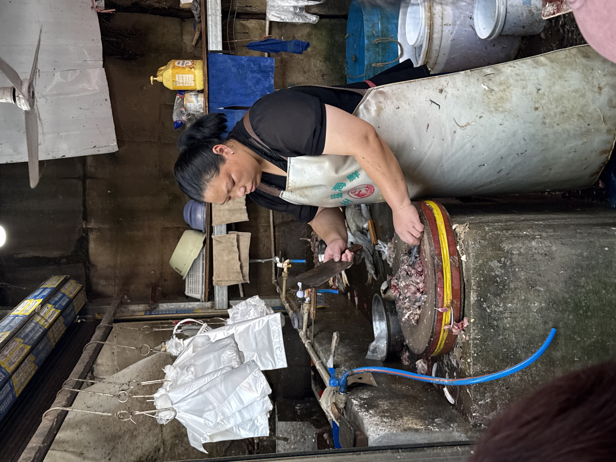 A woman with dark hair pulled back in a ponytail, wearing a black shirt and a light-colored apron, stands in a busy market stall. She is actively chopping what appears to be fish or seafood on a large wooden cutting board. A large cleaver is in her right hand, poised above the chopped ingredients. The cutting board is positioned on a concrete structure that serves as a counter or workspace. To the left of the cutting board, a blue hose is visible, likely connected to a water source for cleaning. The stall is dimly lit, with natural light coming from the top of the frame. The background shows a rustic, weathered wall and various items typical of a food market, including hanging plastic bags, shelves with containers, and buckets. The scene appears to be taking place in the city of Jiangjin, China, given the context of the provided information.