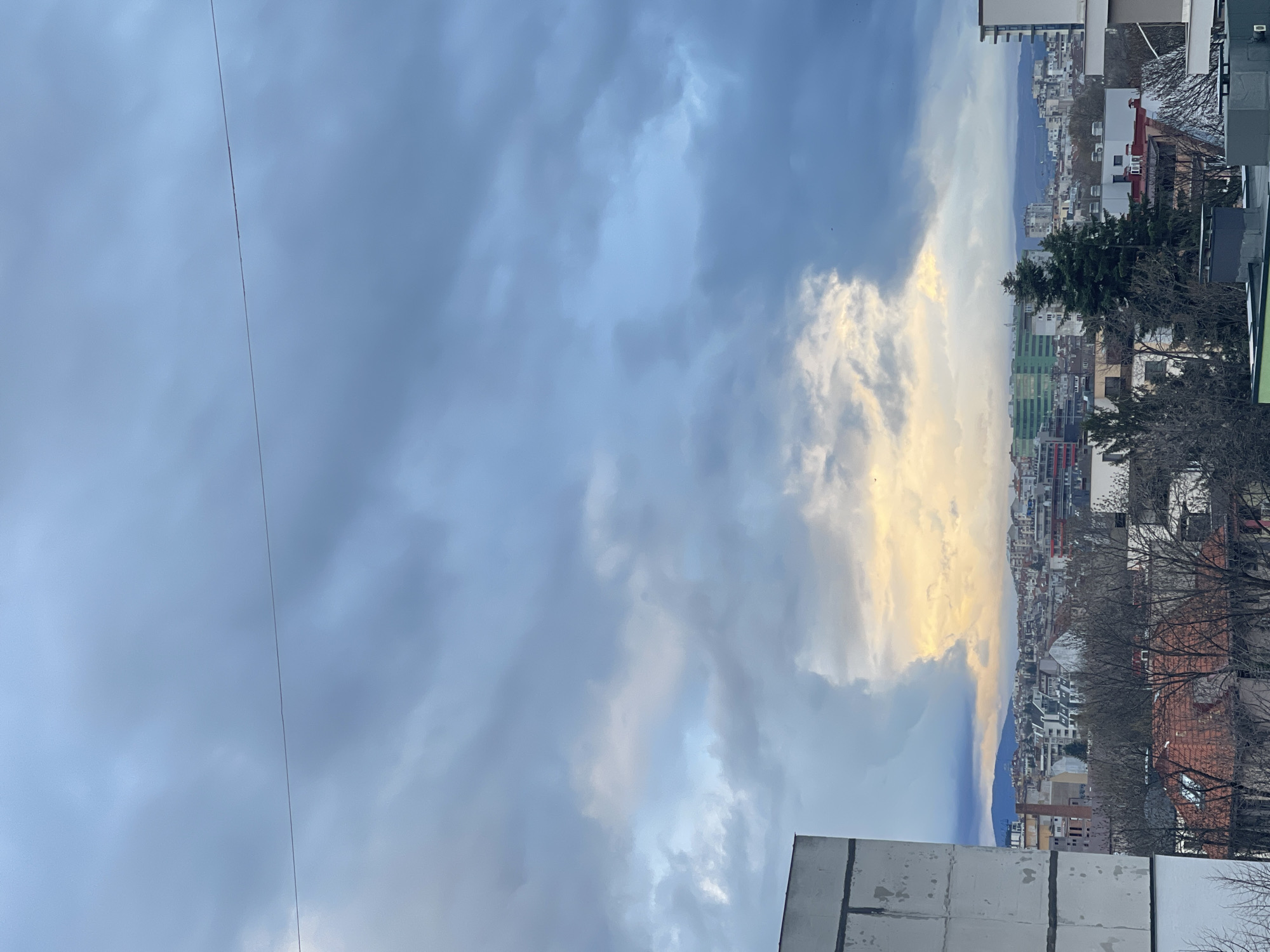 The image shows a cityscape with cloudy skies. In the distance, mountains are visible on the horizon, suggesting the outskirts of the city. The scene includes buildings of varying heights and architectural styles, typical of a dense urban environment. A prominent evergreen tree and bare trees suggest it may be late fall or winter. A wire is visible in the sky.
The location is likely Sofia, Bulgaria, as indicated in the prompt. No people are visible.