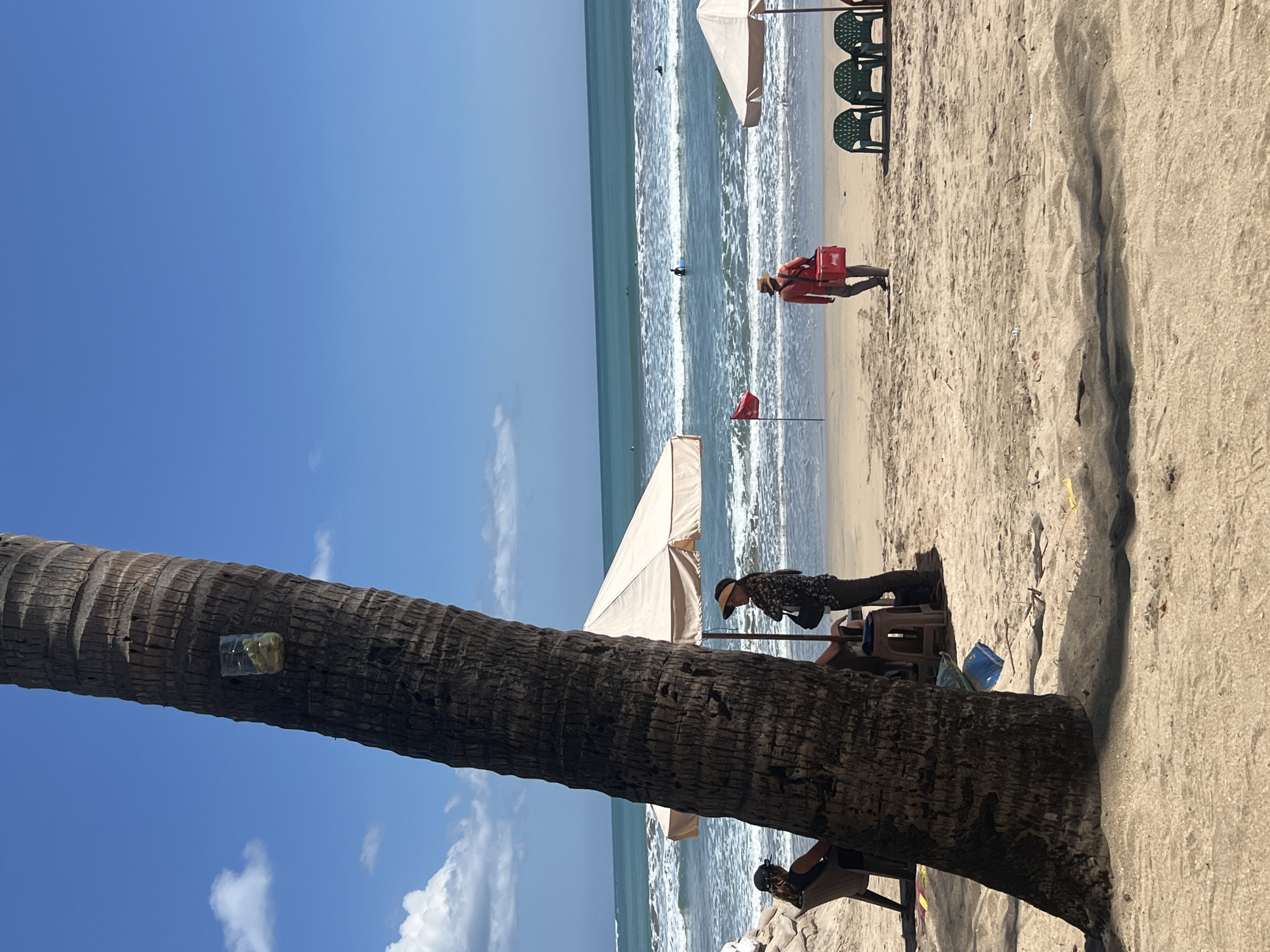 The image depicts a sunny day at Kuta Beach, Indonesia, characterized by its wide sandy shore and the turquoise waters of the Indian Ocean. In the foreground, a large palm tree trunk dominates the left side of the frame, with a clear plastic container holding green foliage attached to it. Behind the tree, several beach umbrellas provide shade. On the left, a person wearing a black hat and sunglasses sits on a beach chair. To the right of the palm tree, under one of the umbrellas, a person in a patterned shirt and a wide-brimmed hat stands with a handbag.
Further back on the beach, a person wearing a bright orange shirt and a hat walks away from the camera, carrying a red cooler bag. A red flag is planted in the sand near the water's edge, possibly indicating surf conditions or a designated swimming area. Several beach chairs are visible in the middle ground, and in the distance, a few surfers are in the water, with the ocean stretching out to the horizon under a bright blue sky with scattered white clouds. The sand is light brown and appears dry, with some debris scattered across it. The overall scene is tranquil, with a few individuals enjoying the beach environment.