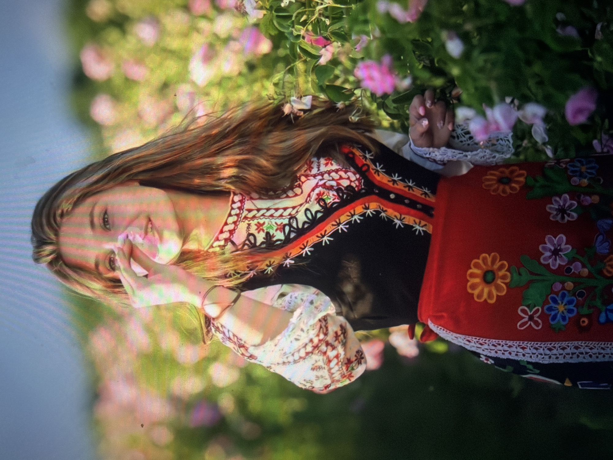 A young female in traditional Bulgarian attire is depicted standing within a field of blooming pink roses. The scene is illuminated by soft, warm light, suggesting late afternoon. The female, possessing long brown hair, holds a pink rose petal to her nose with her left hand, appearing to smell it. She wears a white long-sleeved shirt with embroidered cuffs and collar, overlaid with a black sleeveless vest featuring vibrant vertical embroidery in various colors. A red apron with multi-colored floral embroidery is worn over a dark skirt. Her right hand is partially visible, resting among the green foliage and pink flowers of the rose bushes. The background consists of blurred pink rose blooms and green leaves, extending to a light blue sky in the upper portion of the frame. The location is the city of Shumen, Bulgaria.