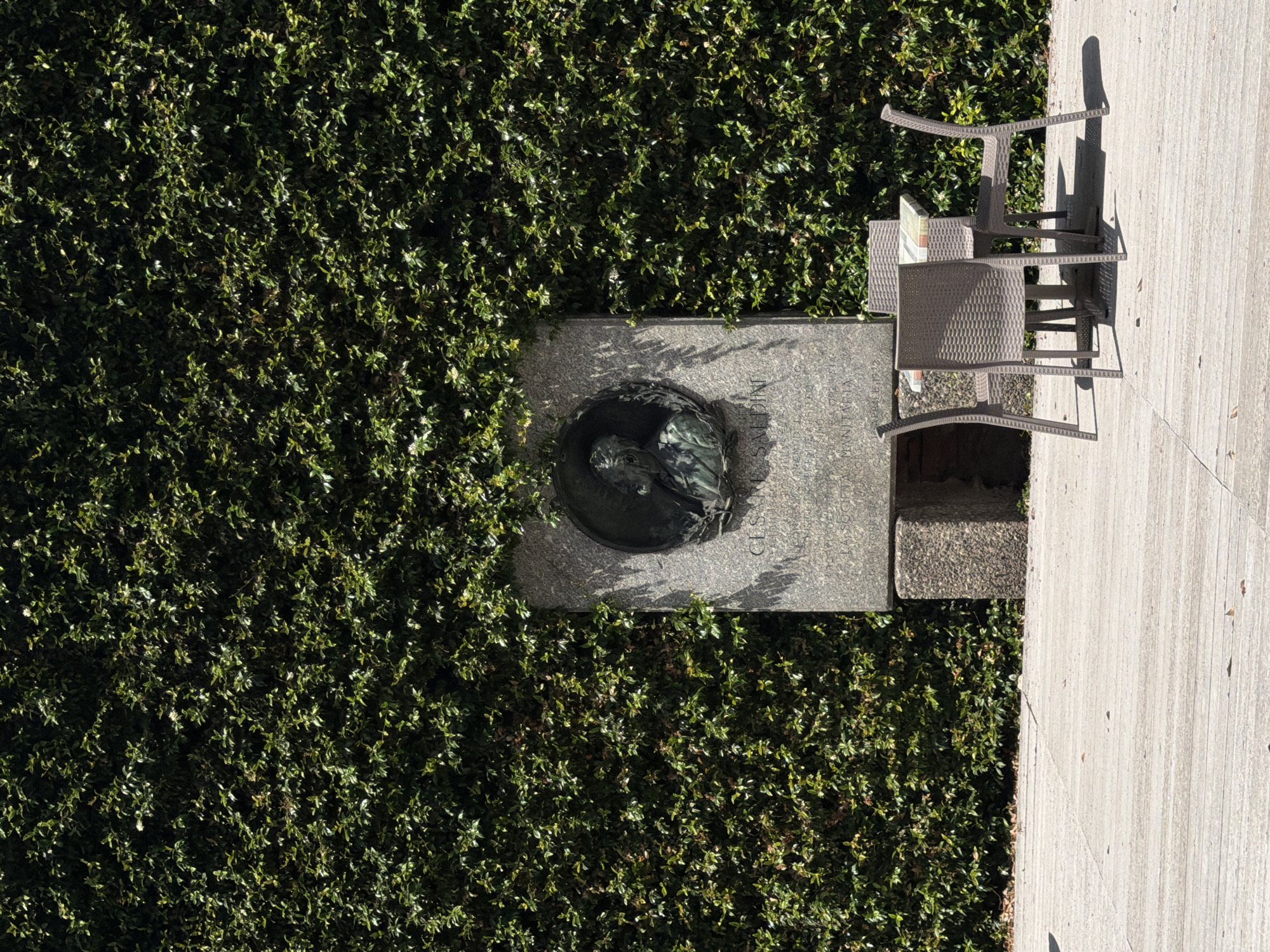 In Milan, Italy, at the Monument to Cesare Saladini, a bronze bust is set into a stone monument that is partially covered by a dense, green ivy wall. In front of the monument, on a light-colored paved area, a small outdoor seating area is arranged with a square table and four chairs made of woven plastic. The scene is illuminated by sunlight, casting shadows on the pavement.
