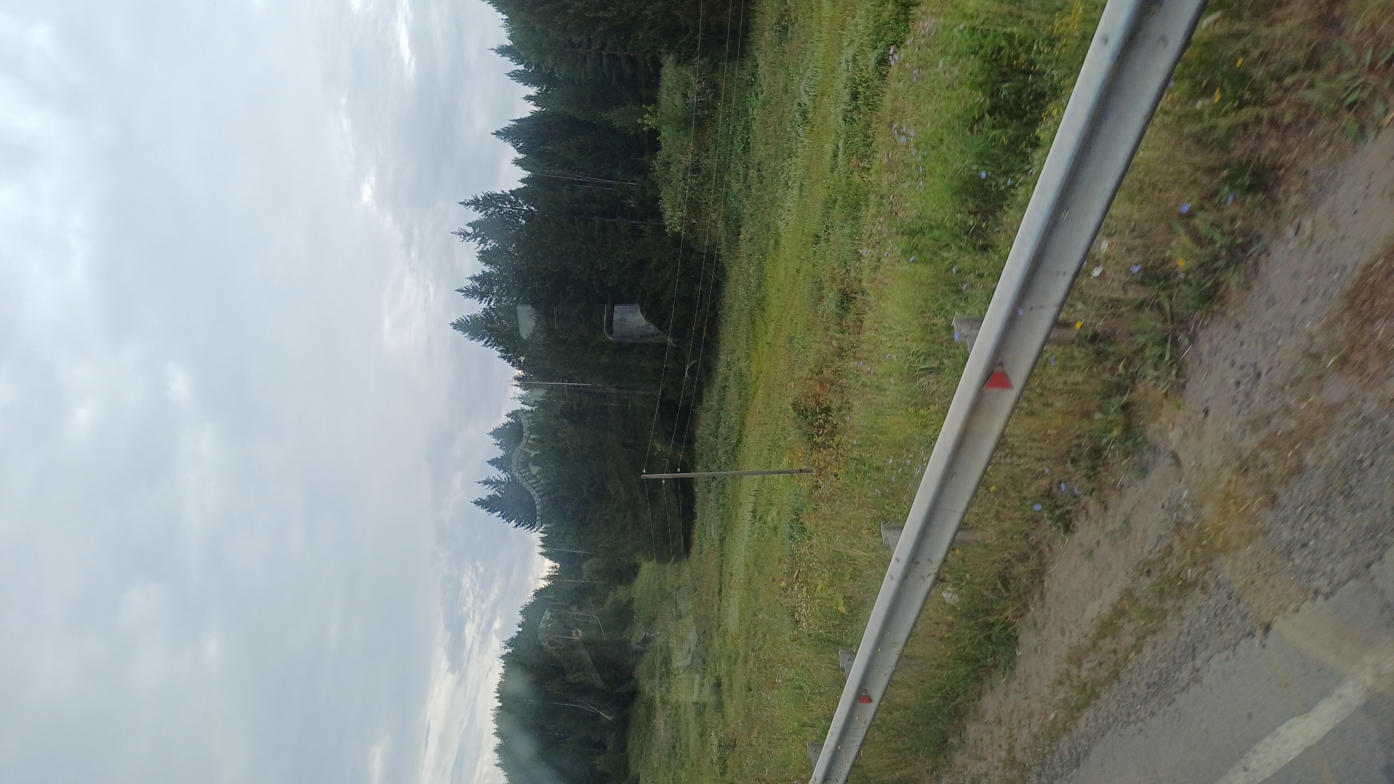 The image displays a rural roadside scene with a metal guardrail in the foreground. Beyond the guardrail is a grassy field with scattered wildflowers and a dirt path. In the middle ground, a wooden pole with wires stretches across the scene, adjacent to a dense forest of evergreen trees. A cylindrical structure, possibly a silo or water tower, is visible within the treeline. The sky is overcast with clouds. The location is identified as Киясово, Russia.