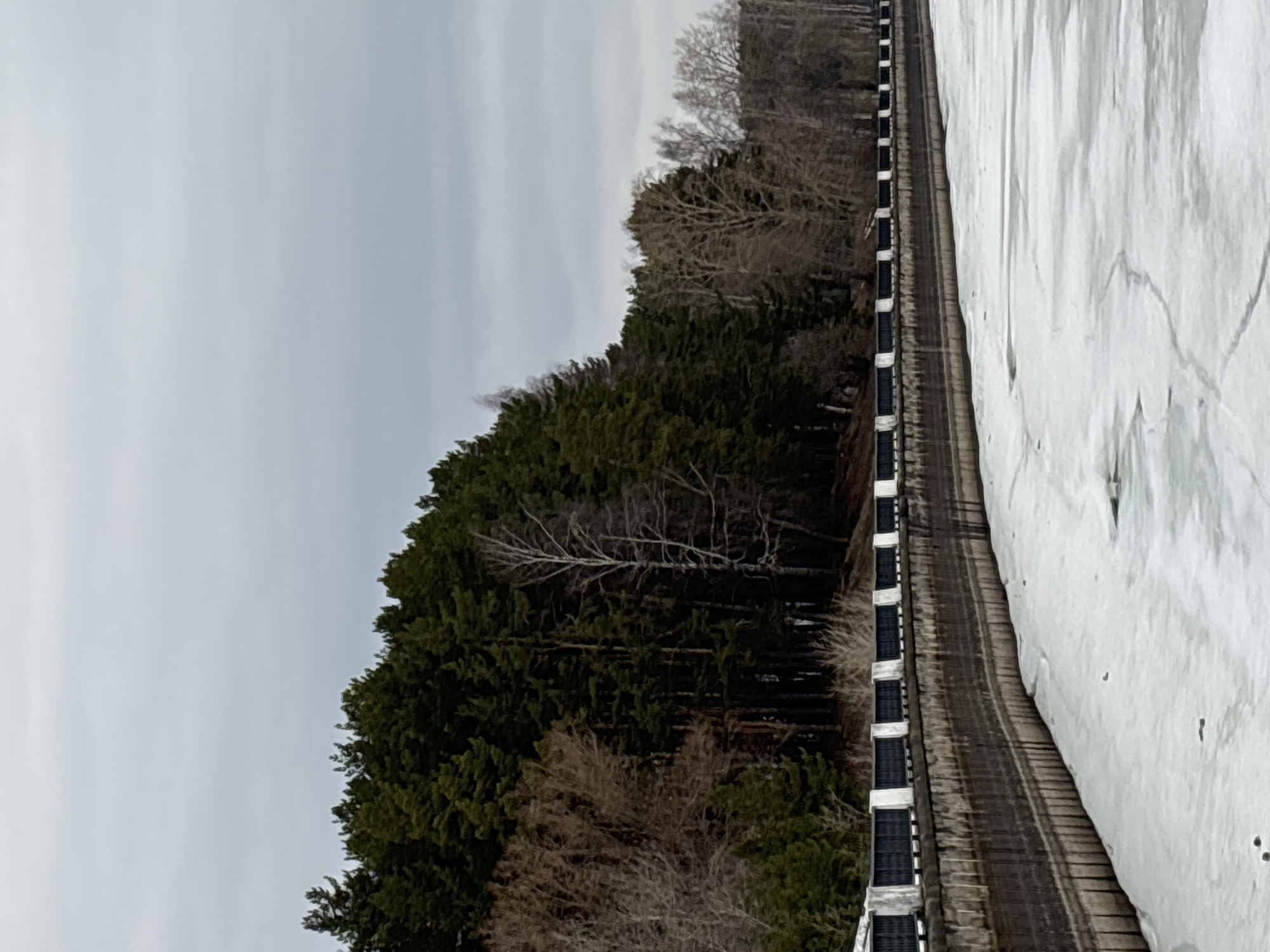 The image depicts a landscape in Chaikovsky, Russia during what appears to be late winter or early spring. On the right side is a frozen body of water, likely the Votkinsk Reservoir. A railway track runs along the edge of the water. Adjacent to the railway is a dense forest of evergreens mixed with deciduous trees still bare of leaves. The sky is overcast with light gray clouds. There are no people visible in the image.