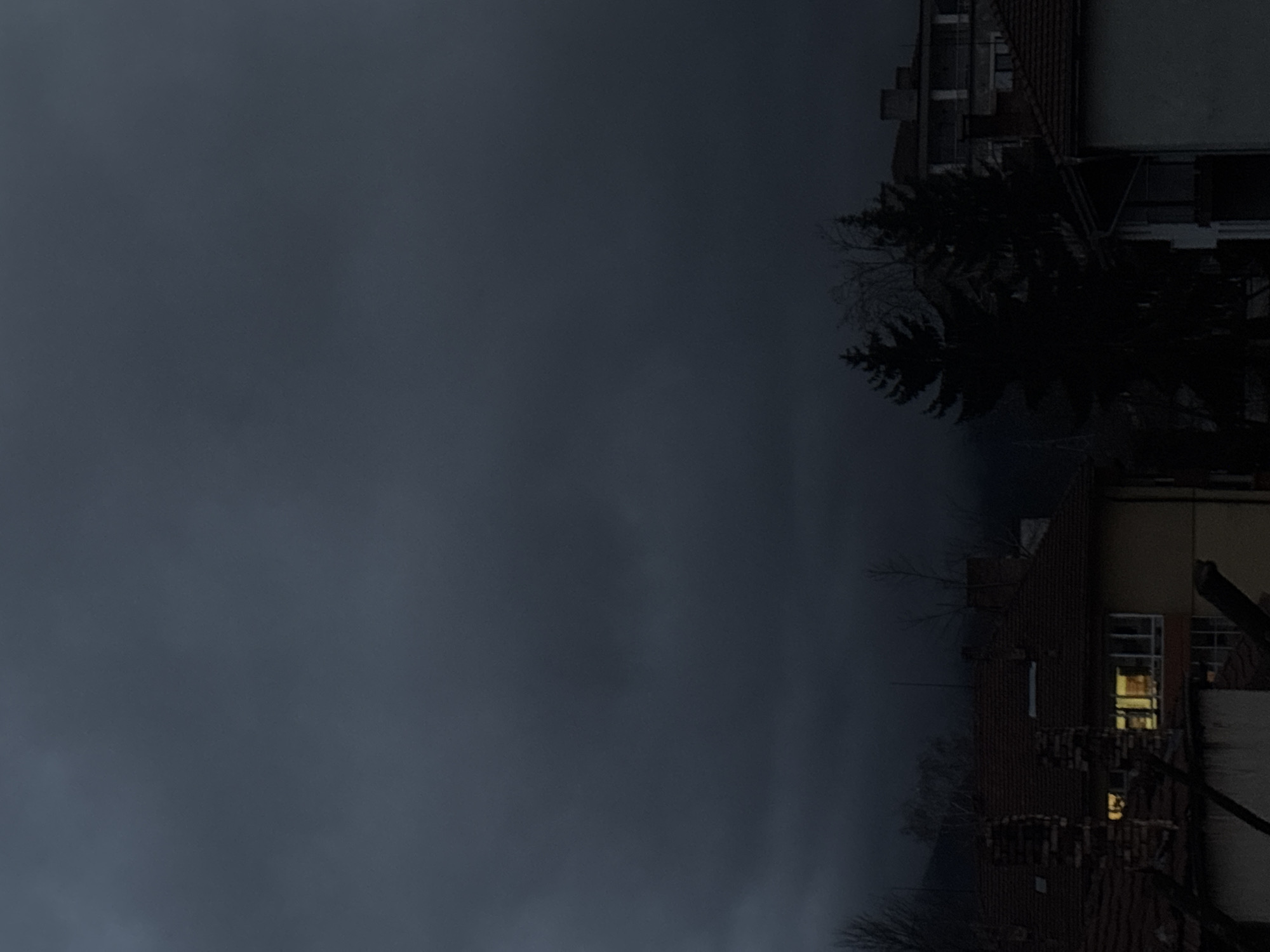 The image displays an exterior scene from the city of Troyan, Bulgaria, under dark, heavily overcast skies. The upper two-thirds of the frame are filled with a uniform, dark grey-blue cloud cover, indicating low light conditions. The lower third of the image features residential structures and vegetation.
On the left, a two-story building with a reddish-brown tiled roof is visible, featuring multiple brick chimneys. One window on its upper floor is illuminated by a distinct warm yellow light, revealing an interior room. Bare tree branches are partially visible in front of and around this building.
Centrally located, two prominent, dark coniferous trees, likely pine or fir, stand tall and are largely silhouetted against the dark background.
On the right, another multi-story building is partially visible, also featuring a reddish-brown tiled roof. A section of its facade, appearing light-colored, includes a balcony structure further back.
In the distant background, a dark, indistinct mountain range is visible, partially obscured by the low light and atmospheric conditions. No individuals or specific actions are discernible within the frame. The overall environment is an urban residential area situated within a mountainous landscape, characterized by very dim ambient lighting.