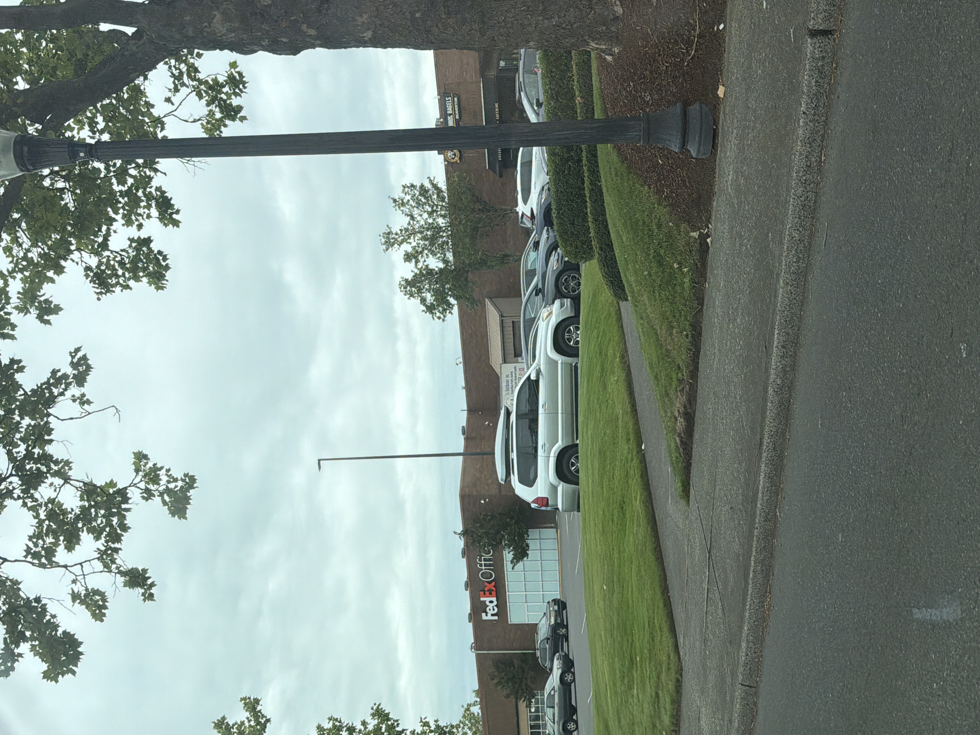 The image shows a street scene in Beaverton, USA, with a focus on a sidewalk, parked cars, and a building. The viewpoint is from a vehicle, suggesting the photo was taken while driving or from a stationary vehicle.
In the foreground, a gray asphalt sidewalk runs along a grassy area. A black lamp post with a decorative base is visible, partially obscured by tree branches and leaves. The trees are lush and green, indicating a warm season.
Beyond the sidewalk and grass, several cars are parked in a lot. The cars are of various colors, including silver, white, and black. The building behind the cars is a light brown brick structure with several windows and storefronts. Prominently displayed on the building is a large red sign with white lettering that reads "FedEx Office". Another sign above it is partially visible and appears to read "BAGELS" with some additional text.
The sky is overcast and a pale gray, suggesting cloudy weather. The lighting is diffused and even, indicating it is likely daytime, possibly late morning or afternoon, but the specific time is not clearly discernible due to the overcast conditions. There are no people visible in the image. The overall impression is a typical commercial area on a cloudy day.