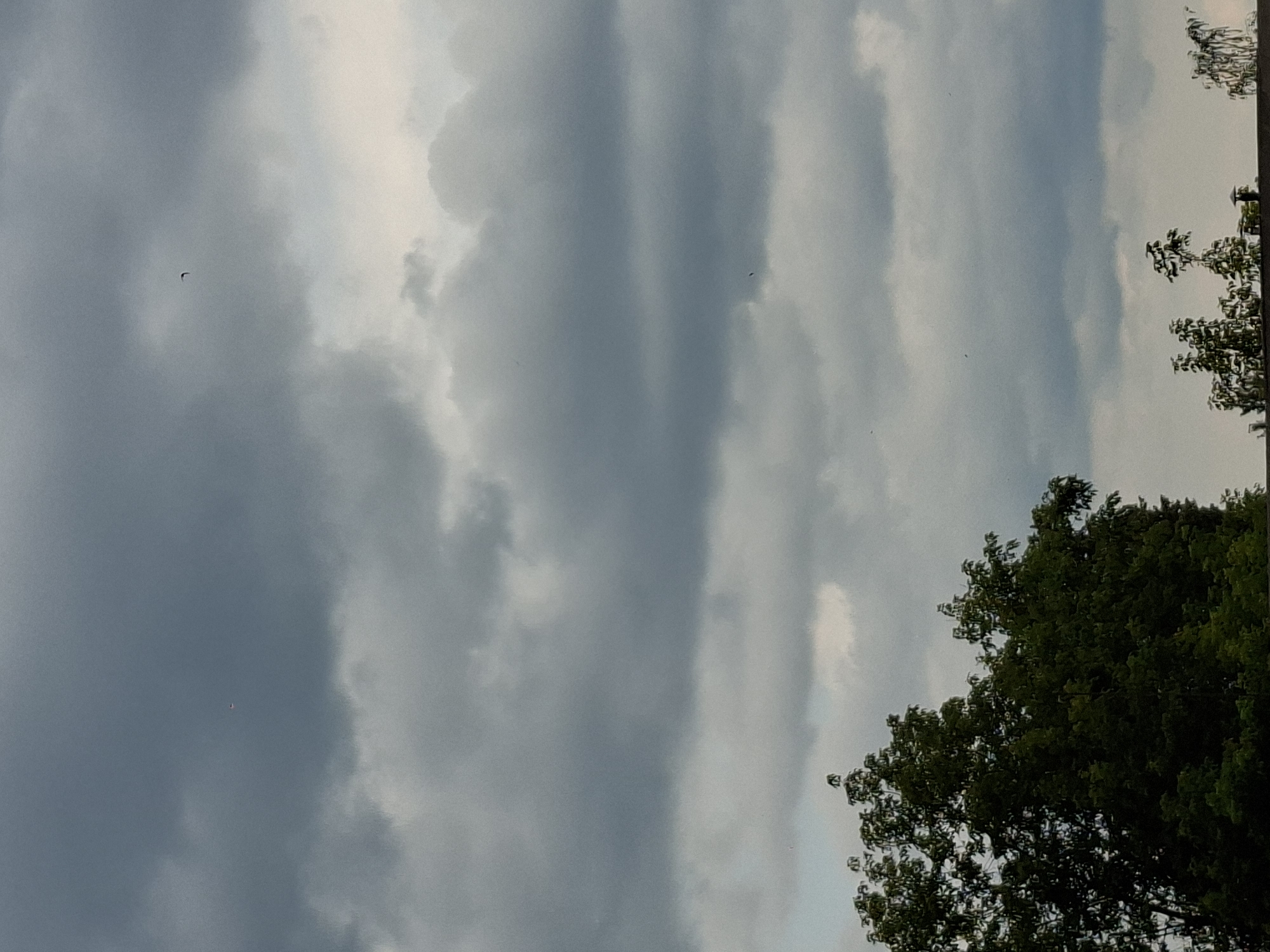The image shows a view of the sky with dark, heavy clouds. In the foreground, the tops of several trees with lush green foliage are visible. There are also hints of a building structure at the bottom edge. Small, distant objects that appear to be birds are present in the sky. The overall impression is of an overcast or potentially stormy day. This scene appears to be in an outdoor setting within the city of Murom, Russia, given the context.