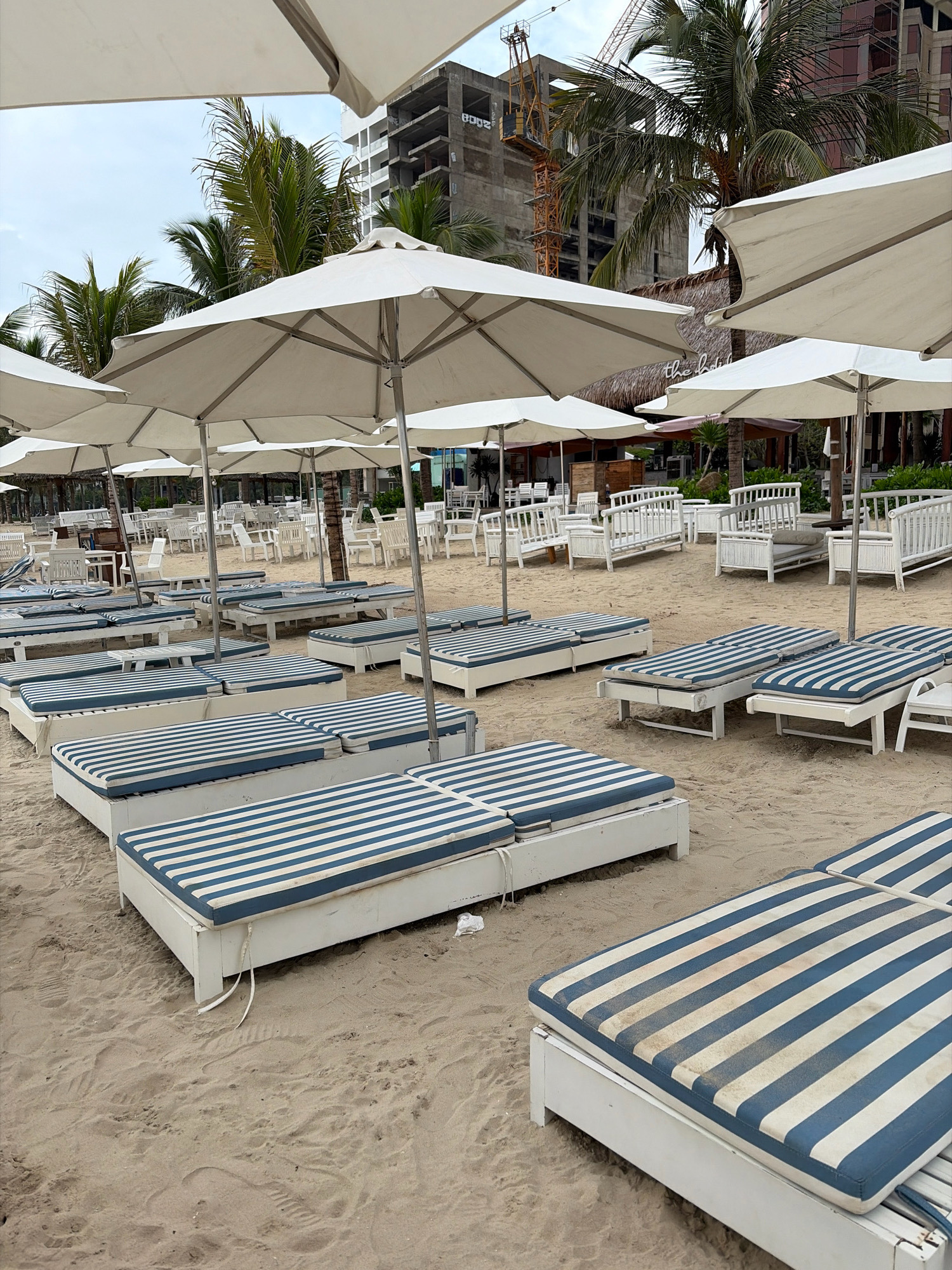 This image depicts a beach resort area in Đà Nẵng, Vietnam, likely during daylight hours with overcast skies. The foreground is dominated by rows of white lounge chairs with blue and white striped cushions, arranged on a sandy beach. Several large, white umbrellas are open, providing shade. In the background, there are more lounge chairs and white tables and chairs, suggesting a dining or seating area. Palm trees are visible, and further back, a tall, unfinished building under construction with a crane is prominent, alongside a building with a thatched roof. The scene appears to be unoccupied by people.