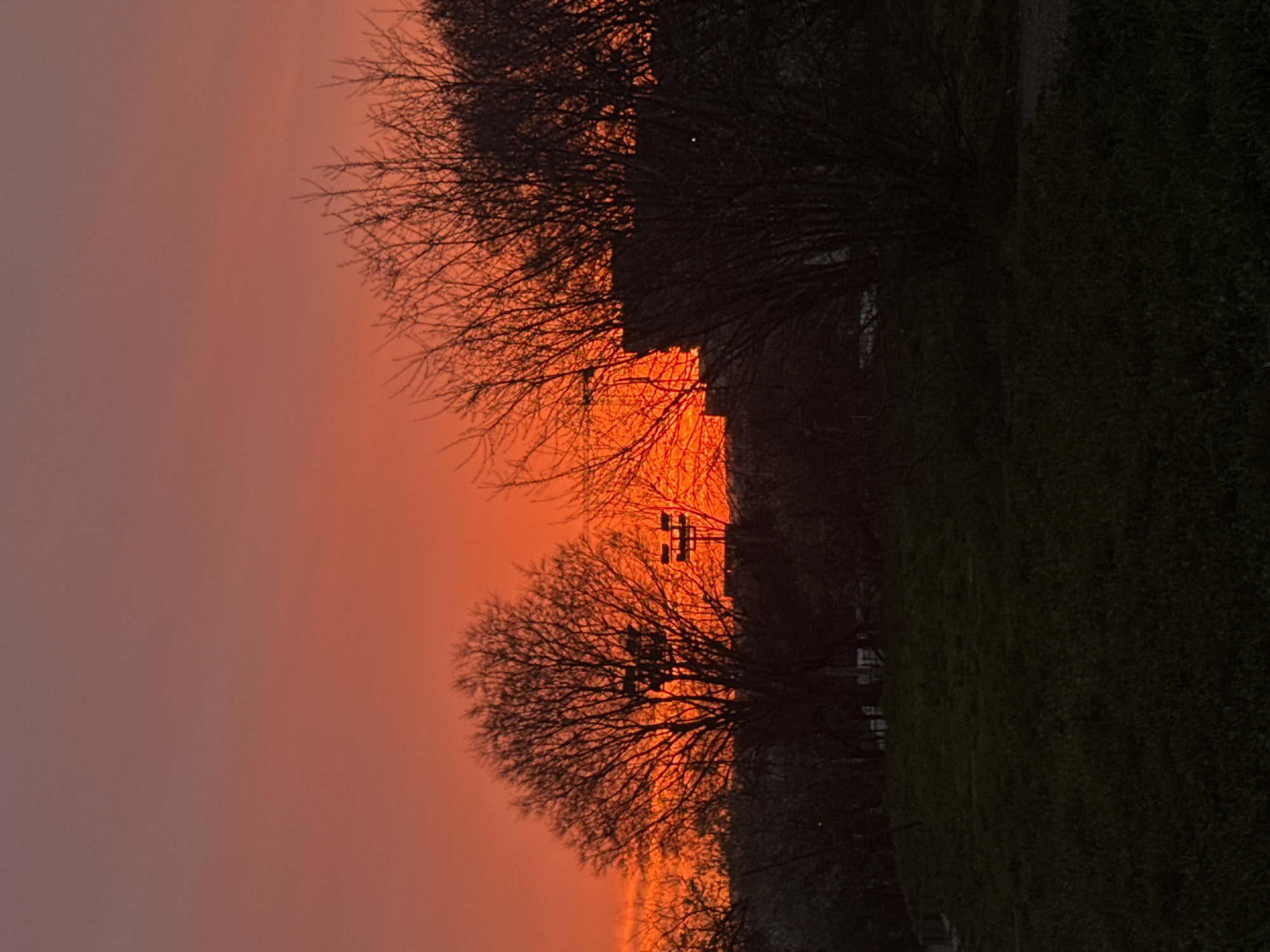 The image depicts a sunset in Varna, Bulgaria. The sky is a gradient of orange and pink. Silhouetted trees are visible against the sky. An electrical pole is also visible. The foreground consists of grass and bushes, mostly obscured in shadow. The image is rotated 90 degrees counterclockwise.