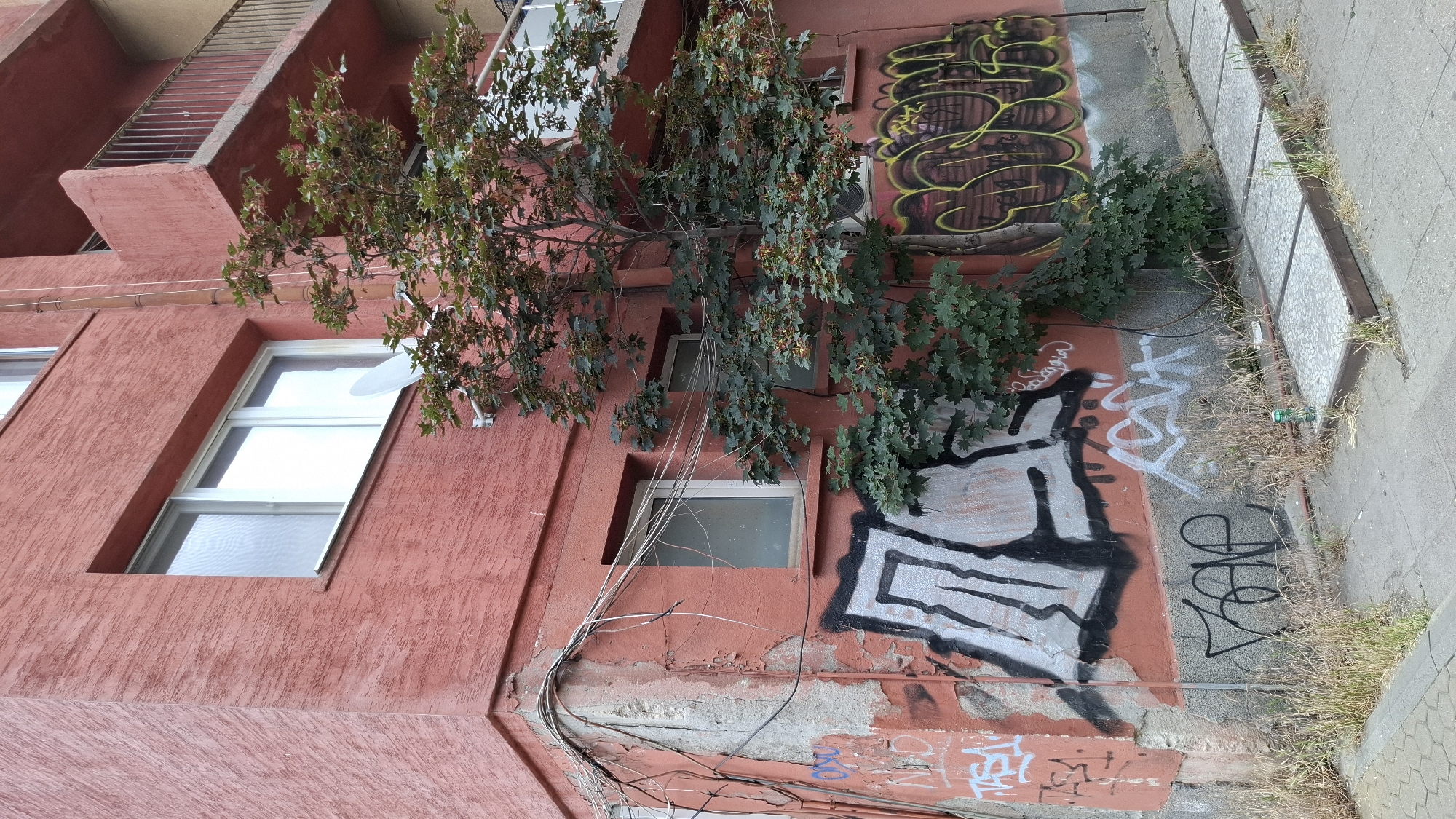 A narrow, low-angle shot captures the corner of a building in Sofia, Bulgaria, dominated by a weathered, salmon-pink facade. The textured plaster of the building's exterior is chipped and peeling in places, revealing older layers of concrete beneath, particularly on the left corner. Two windows are visible on this section of the building, one larger and one smaller, both with white frames and reflective glass. A white satellite dish is mounted on the wall below the larger window.
The lower part of the building's wall is heavily adorned with graffiti. Large, bold black and white graffiti with thick outlines dominates the lower left corner. To the right of this, white graffiti tags are scrawled, some in a more stylized font. Further to the right, yellow and brown graffiti with a bubble-letter style is visible.
A young tree with green leaves and developing samaras is growing vertically along the wall, partially obscuring some of the graffiti. Its branches extend upwards and outwards, reaching towards the windows. Electrical wires are strung across the building's facade, particularly around the left corner, adding to the slightly neglected aesthetic.
The ground in front of the building consists of a concrete sidewalk with square paving stones. Dry, overgrown grass and weeds sprout around the base of the building and between the paving stones, suggesting a lack of regular maintenance. A green soda can is visible on the ground near the tree. A small portion of a balcony with a metal railing is visible on the upper right side of the image, suggesting this is part of a multi-story building. The lighting indicates it is daytime, with diffused light casting soft shadows.