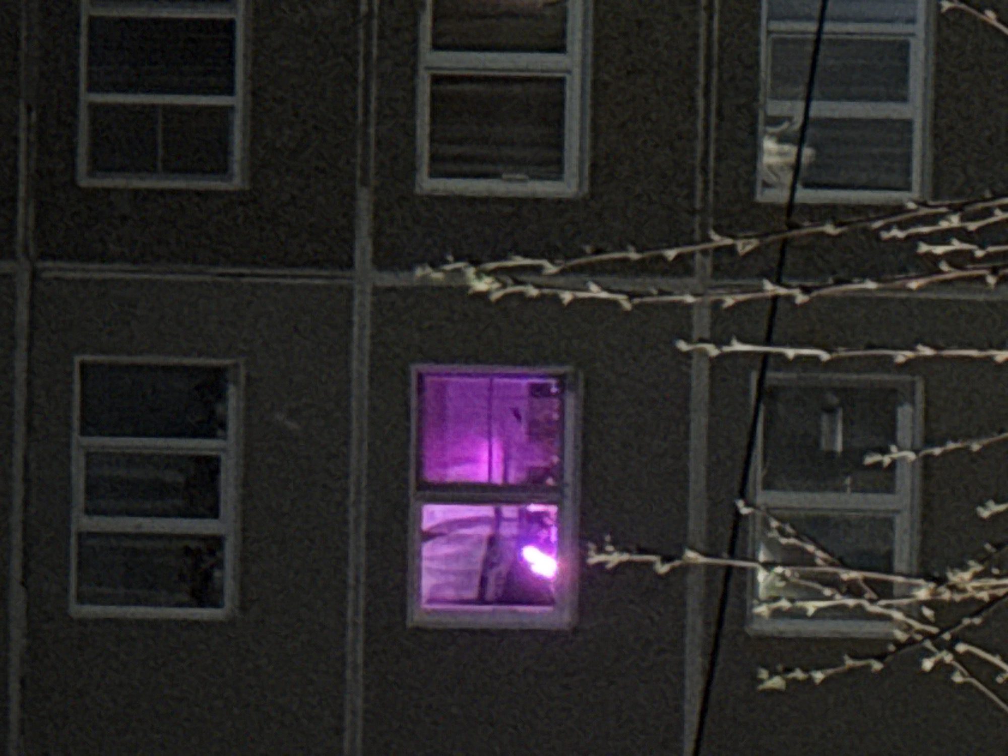 The image shows a section of the exterior of a building with six visible windows. Five of the windows appear dark, but one, located in the middle of the frame, is illuminated with a purple light emanating from within. The building facade appears to be gray and textured. In the foreground, bare tree branches obscure part of the view. The location, Chaikovsky, Russia, is noted, but not discernible from the image itself. No people are visible.