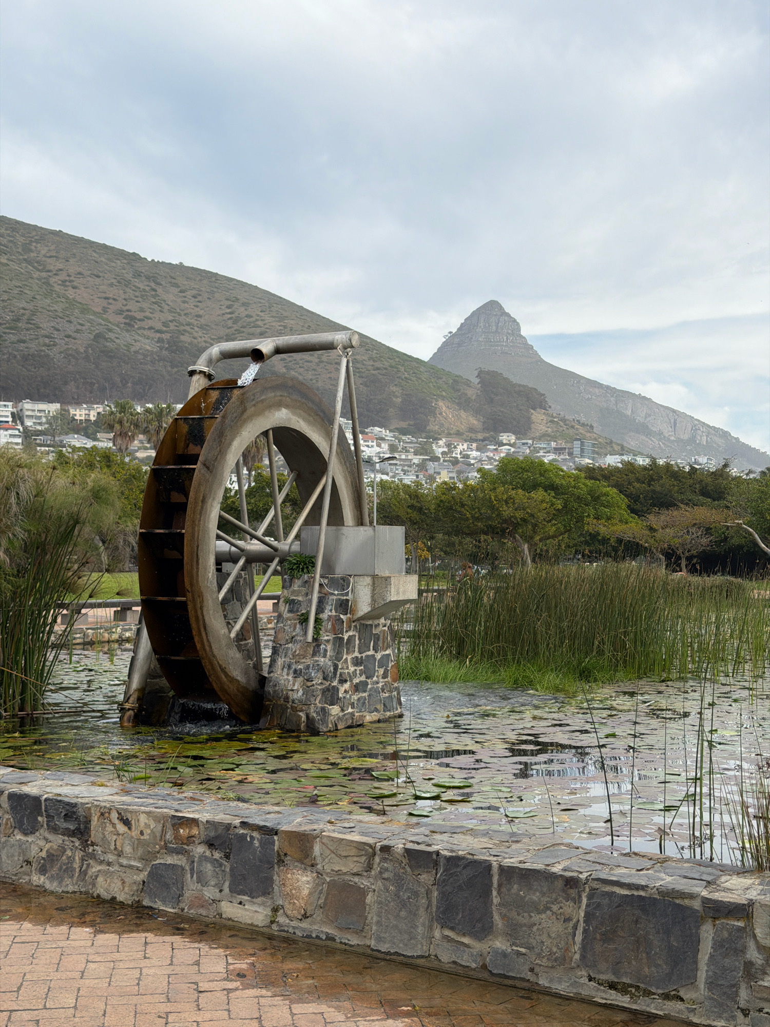 The image depicts a water wheel in a park in Cape Town, South Africa, with Lion's Head mountain in the background. The water wheel, made of metal and concrete, is situated in a pond filled with lily pads and reeds. Water is flowing from a pipe onto the wheel, causing it to turn. The pond is surrounded by a stone wall and a brick pathway. In the background, there are trees, buildings, and the characteristic silhouette of Lion's Head. The sky is overcast, suggesting a cloudy day. There are no people visible in the image.