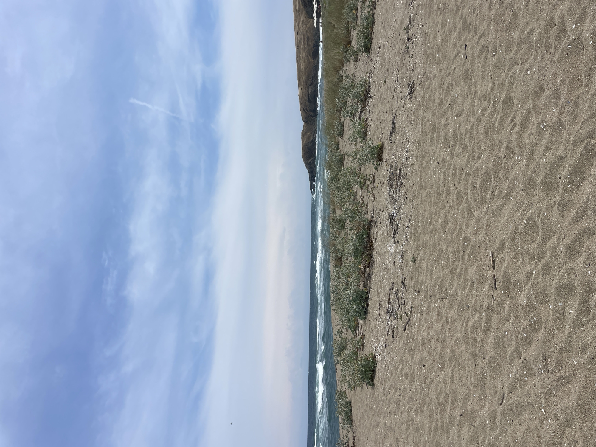 A wide-angle, eye-level shot captures a natural landscape at the Black Sea coast in Sinemorets, Bulgaria. The foreground is dominated by rippled sand, interspersed with small shells and pieces of driftwood. Sparse, low-lying green vegetation grows in patches across the sand.
Beyond the sandy expanse, the choppy, dark blue waters of the Black Sea stretch towards the horizon, marked by white-capped waves. A faint contrail is visible in the pale blue sky, which is partly obscured by wispy clouds. In the middle ground, a rocky, brown headland juts out into the sea, its slopes covered in dry, yellowish grass. A few indistinct figures and white umbrellas can be seen on the beach near the headland. The overall atmosphere is one of a wild, undeveloped coastal environment.