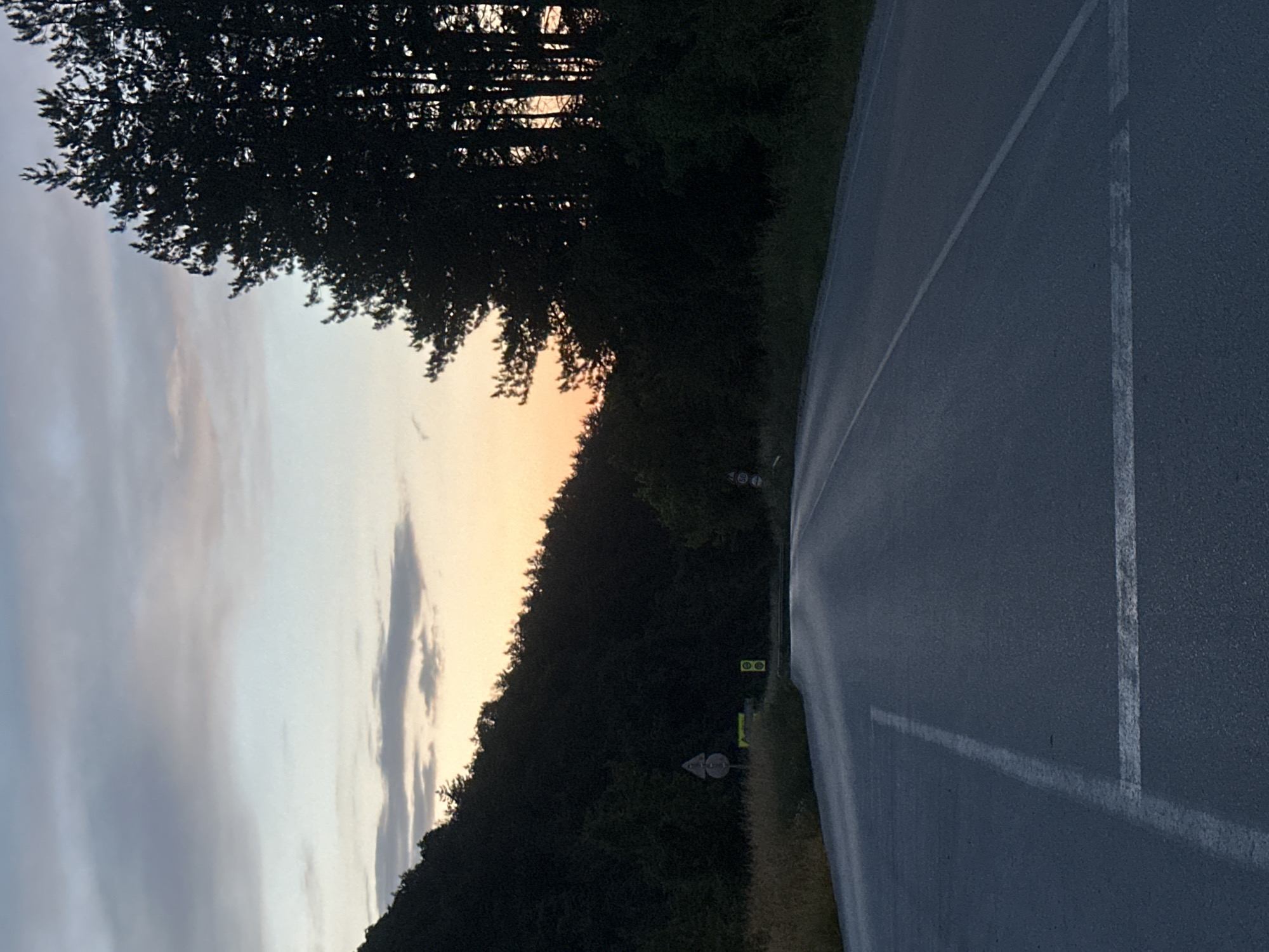 The photograph, oriented vertically, captures a twilight scene featuring a rural road and natural landscape. A dark asphalt road, marked with a solid white line on its right edge and a broken white line further left, occupies the bottom and right portions of the frame. The road appears slightly wet or reflective in the dim light.
Along the right side of the road, a dense expanse of dark green trees and bushes forms a thick barrier, extending from the foreground into the distance. Partially visible through the foliage are several road signs: a yellow sign with "400" faintly visible, suggesting a distance marker; a white triangular sign with a red border and a black symbol, likely a warning sign; and two smaller, circular green signs with yellow outlines, whose specific symbols are indistinct due to distance and blur.
The upper left portion of the image reveals a dramatic sky transitioning from light grey-blue clouds at the very top to a warm, soft orange and yellow glow near the horizon, indicative of either sunrise or sunset. A large, silhouetted tree with distinct branches and foliage dominates the upper left corner, its dark form stark against the colorful sky. The overall atmosphere is serene and tranquil, characteristic of dawn or dusk in a secluded, natural environment.