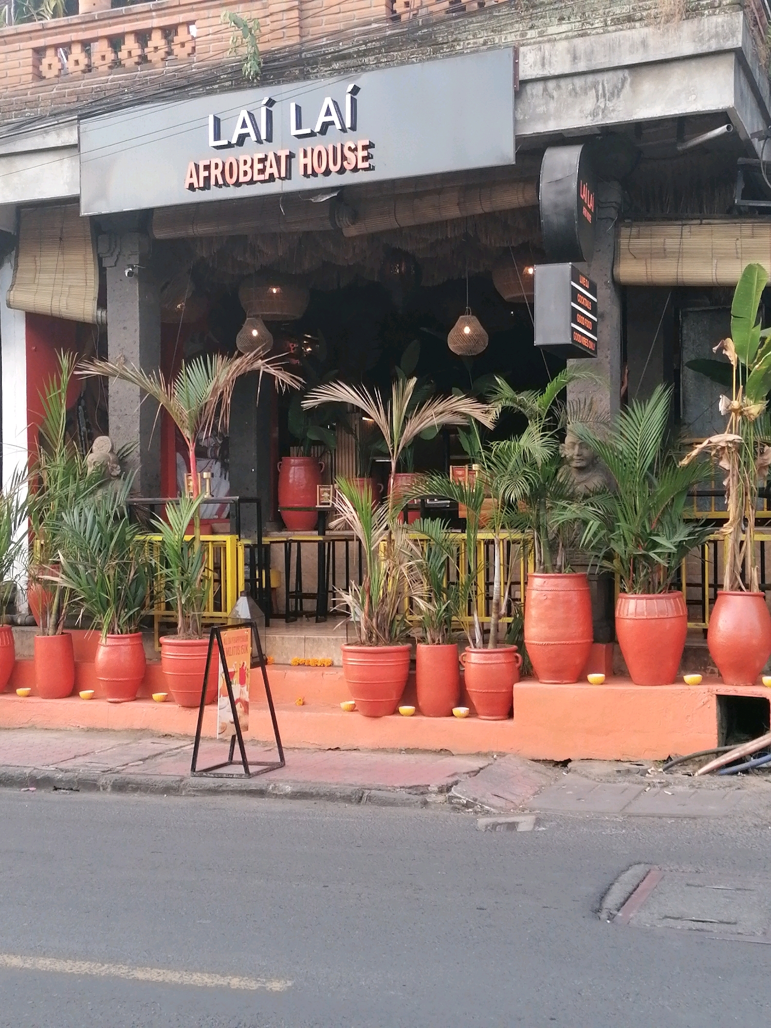 The image shows the exterior of a building identified by a sign as "LAÍ LAÍ AFROBEAT HOUSE" in Ubud District, Indonesia. The building features an orange facade and is adorned with numerous potted plants, primarily palms, arranged along the lower level. A bamboo blind covers part of the storefront, and a hanging light fixture is visible within the establishment. A black A-frame sign stands on the sidewalk in front of the building. The street in the foreground is paved with asphalt, showing a painted white line. The scene appears to be an outdoor view of a commercial establishment.