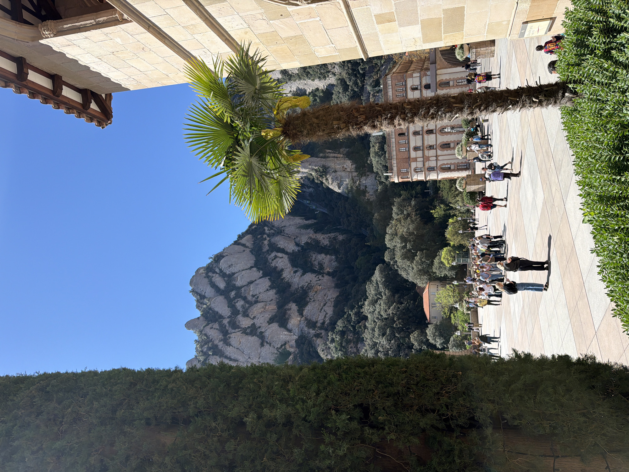 This media file presents a vibrant outdoor scene captured on a clear, sunny day at the Montserrat Monastery in Monistrol de Montserrat, Spain. The original image is rotated 90 degrees clockwise.
The central feature is a spacious, light-tiled plaza bustling with visitors. A tall, sturdy palm tree with rich green fronds stands prominently on the left side of the plaza, casting a long shadow, indicative of strong sunlight. To the upper left, a traditional stone building with a tiled roof and exposed wooden beams is partially visible, suggesting historical architecture. Opposite this, on the right side of the plaza, another multi-story building with a reddish-brown facade and numerous arched windows forms part of the complex.
Numerous people are scattered across the plaza, engaged in various activities typical of tourists or visitors. They are dressed in casual attire, walking, standing, and observing their surroundings. The strong, distinct shadows cast by the individuals and the palm tree confirm bright, direct sunlight, suggesting it is likely mid-morning or afternoon.
The backdrop is dominated by the majestic Montserrat mountain, showcasing its distinctive, jagged, and multi-layered rock formations. Patches of dark green trees and bushes cling to the mountain's slopes and line the edges of the plaza, contrasting with the lighter rock and paved areas. The sky above is a pristine, clear blue, devoid of clouds, emphasizing the excellent weather conditions. A small, indistinct sign can be seen on a stone wall behind the palm tree, though its text is not clearly legible. The scene conveys a sense of peaceful activity at a significant cultural and natural landmark.
