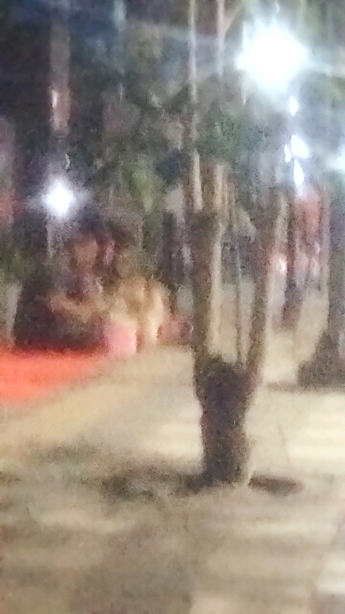 The image depicts a dimly lit outdoor scene, likely at night, with several trees and possibly some human figures in the background. The lighting suggests artificial illumination, with bright spots that could be streetlights or other sources of light. The environment appears to be a park or an open area with ground cover that is out of focus. There is an orange-red colored object or surface in the lower left portion of the image. The overall image quality is poor due to blurriness and low resolution, making it difficult to discern specific details of the subjects or their activities. The scene is consistent with a location within the city of Bojonegoro, Indonesia, given the request for localization, however, no specific landmarks or identifying features are present to confirm this.