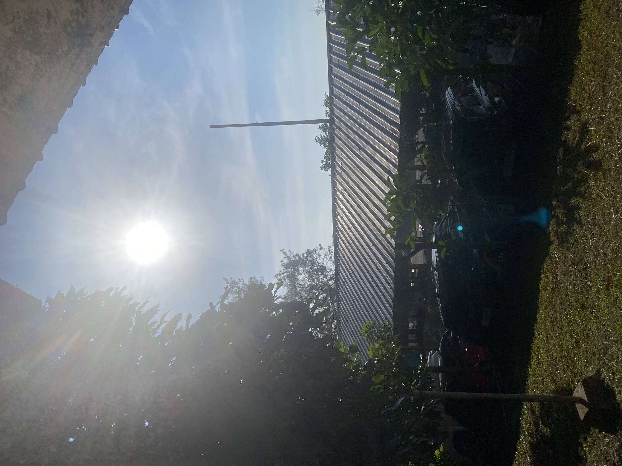 A bright sun shines in a clear blue sky, casting lens flare and overexposing a portion of the image. Below the sky, a corrugated metal roof of a building is visible, with a thin pole extending upwards from its peak. In the foreground, dark green trees with dense foliage partially obscure the view of parked cars and a grassy area. The scene appears to be outdoors, possibly in a residential or parking area, located in Banjarbaru, Indonesia. The image is taken from a low angle, looking upwards towards the sun and the building.
