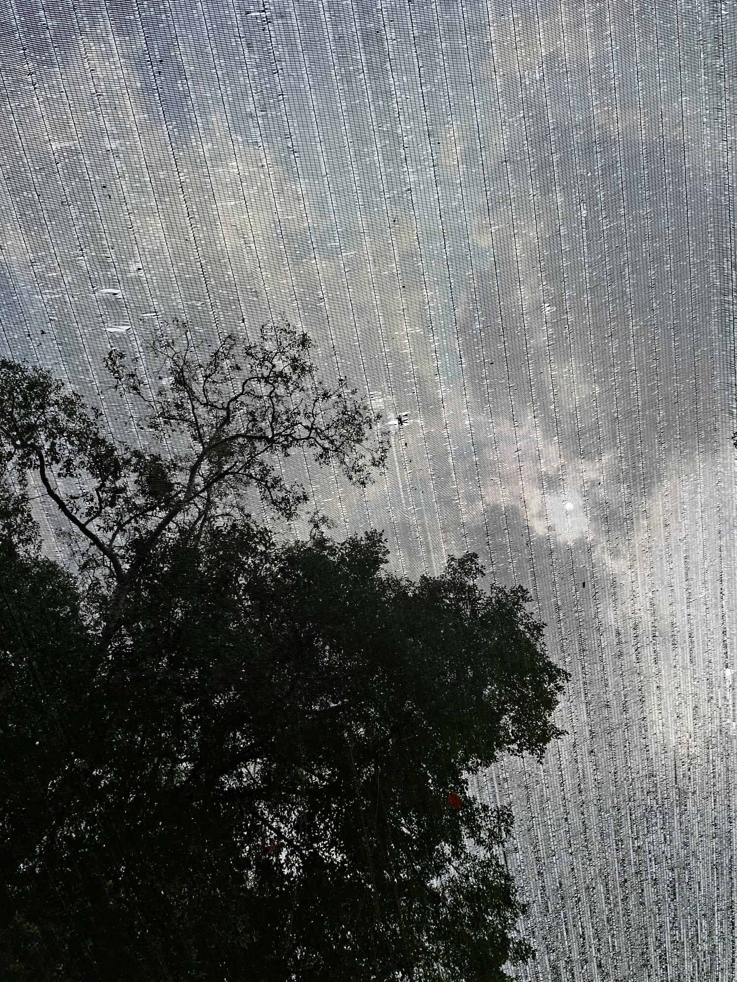 The image depicts a view looking upwards through a woven netting material, casting a patterned effect on the scene. Silhouetted against a hazy sky, with the sun partially obscured by clouds, are the dark forms of tree branches and foliage in the lower left portion of the frame. The netting's grid-like structure dominates the upper and right portions of the image, creating a distorted, striped appearance of the sky. A small red object, possibly a berry or ornament, is visible on a branch in the lower left. The scene appears to be outdoors, suggesting a natural or garden setting within the city of Blitar, Indonesia. No people are visible in the frame, and no specific actions or interactions are occurring.