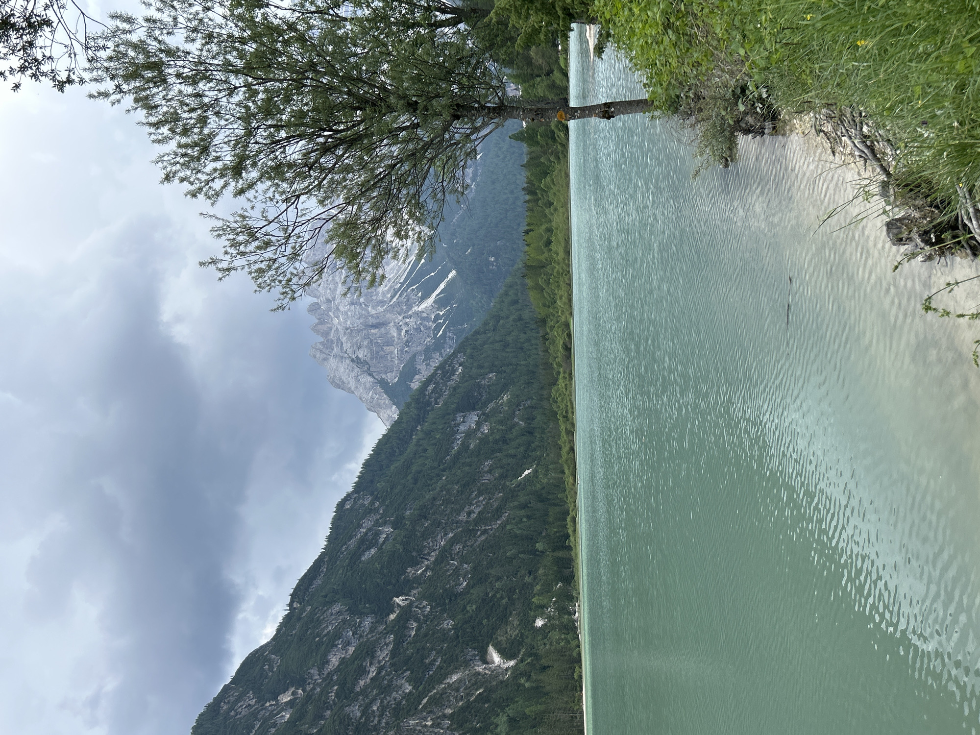 A body of water, possibly a lake, dominates the foreground with a light teal hue and rippling surface. The shoreline on the right is covered in lush green grass and some scattered branches and driftwood. A single, slender tree stands on the right bank, its trunk marked with a yellow symbol.
In the middle ground, a dense green forest lines the far shore of the lake, creating a natural barrier. Beyond the forest, dramatic, rugged mountains rise into a cloudy sky. The mountains have steep, rocky slopes, with patches of snow or lighter colored rock visible on their peaks. The sky is overcast with heavy gray clouds, suggesting a cool or potentially rainy day. The overall scene depicts a natural, mountainous landscape. There are no people visible in the image.