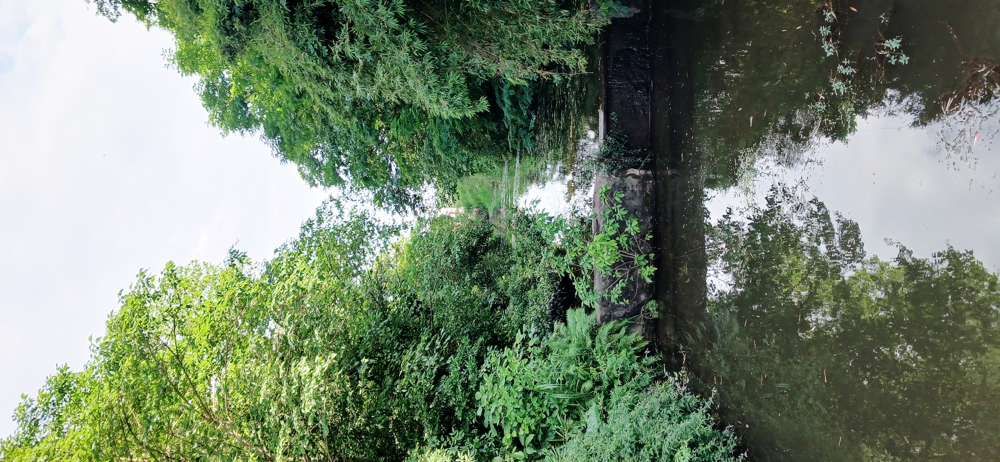 The image shows a narrow waterway in the Chongqing High-tech Zone, China. Lush green vegetation, including trees and shrubs, flanks both sides of the waterway, creating a dense canopy. The water reflects the sky and the surrounding foliage, creating a mirrored effect. A concrete structure or pillar stands in the middle of the waterway, partially covered with vegetation. The sky is visible in the upper left corner, appearing light with some cloud cover. The scene depicts a natural environment within the urban area.