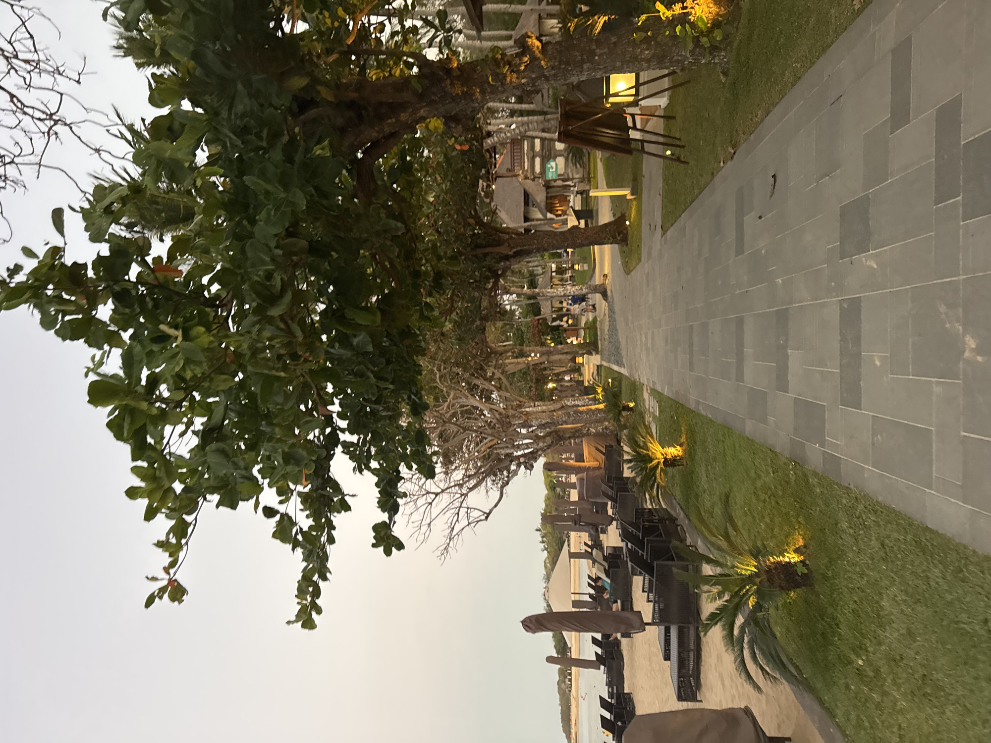 This image depicts a paved walkway lined with lush green grass and illuminated palm trees, leading towards a beach in Kuta Selatan, Indonesia. The walkway is bordered on the left by a beach with rows of empty lounge chairs and umbrellas, suggesting a resort or hotel setting. In the background, a few individuals can be seen strolling along the walkway. The trees on the right side of the walkway are mature and leafy, with some bare branches visible. The overall ambiance suggests a serene evening scene, possibly at dusk, given the soft lighting and diffused sky. The architecture of some buildings in the distance hints at traditional Indonesian design elements.