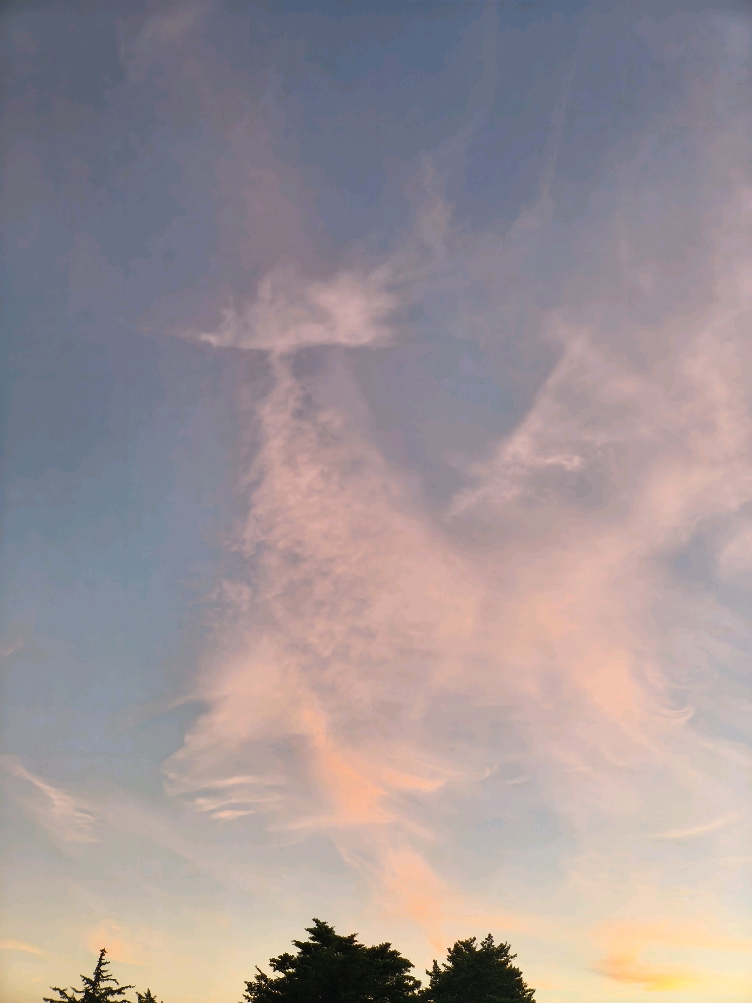 The image depicts a sunset sky over Passignano sul Trasimeno, Italy, with silhouetted conifer trees along the bottom edge. The sky is a gradient of soft blues and pinks, with wispy clouds catching the warm light of the setting sun. The clouds form abstract shapes, one prominent formation resembling a stylized tree or a figure with outstretched arms. The overall atmosphere is serene and tranquil, characteristic of an evening sky in a picturesque Italian lakeside town. There are no people or animals visible in the image.