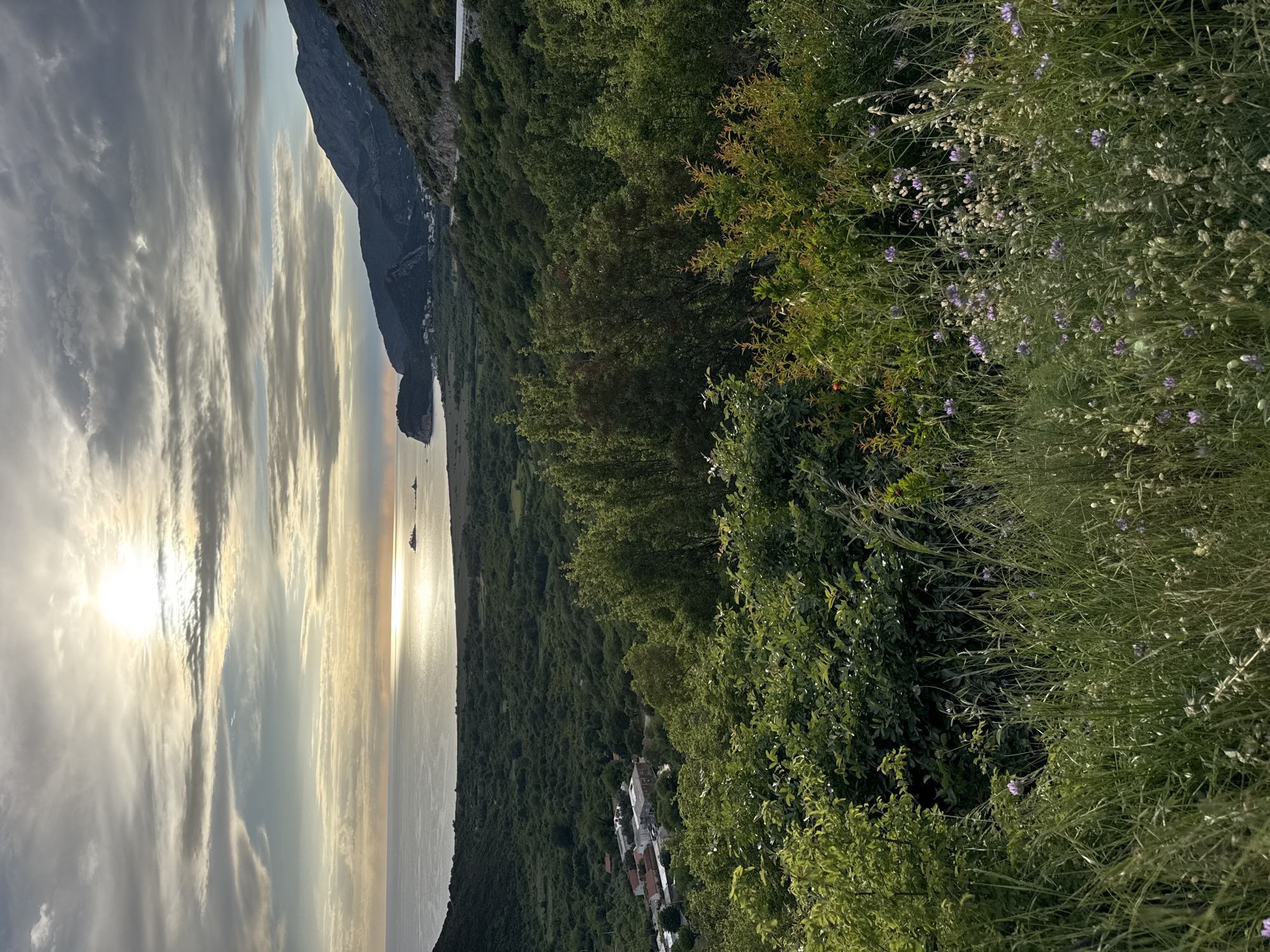 The image captures a scenic view in Kanjoši, Montenegro. The sun is setting/rising over the water, creating a bright reflection with streaks of light. To the left is the water, likely the Adriatic Sea, with some boats visible in the distance. A mountain and/or cliff side is seen running along the coast. Lush green vegetation and wildflowers dominate the right side of the frame. In the distance, amidst the trees, some white-roofed buildings are visible. The sky above is filled with clouds, with variations in color and shading due to the sun's position.